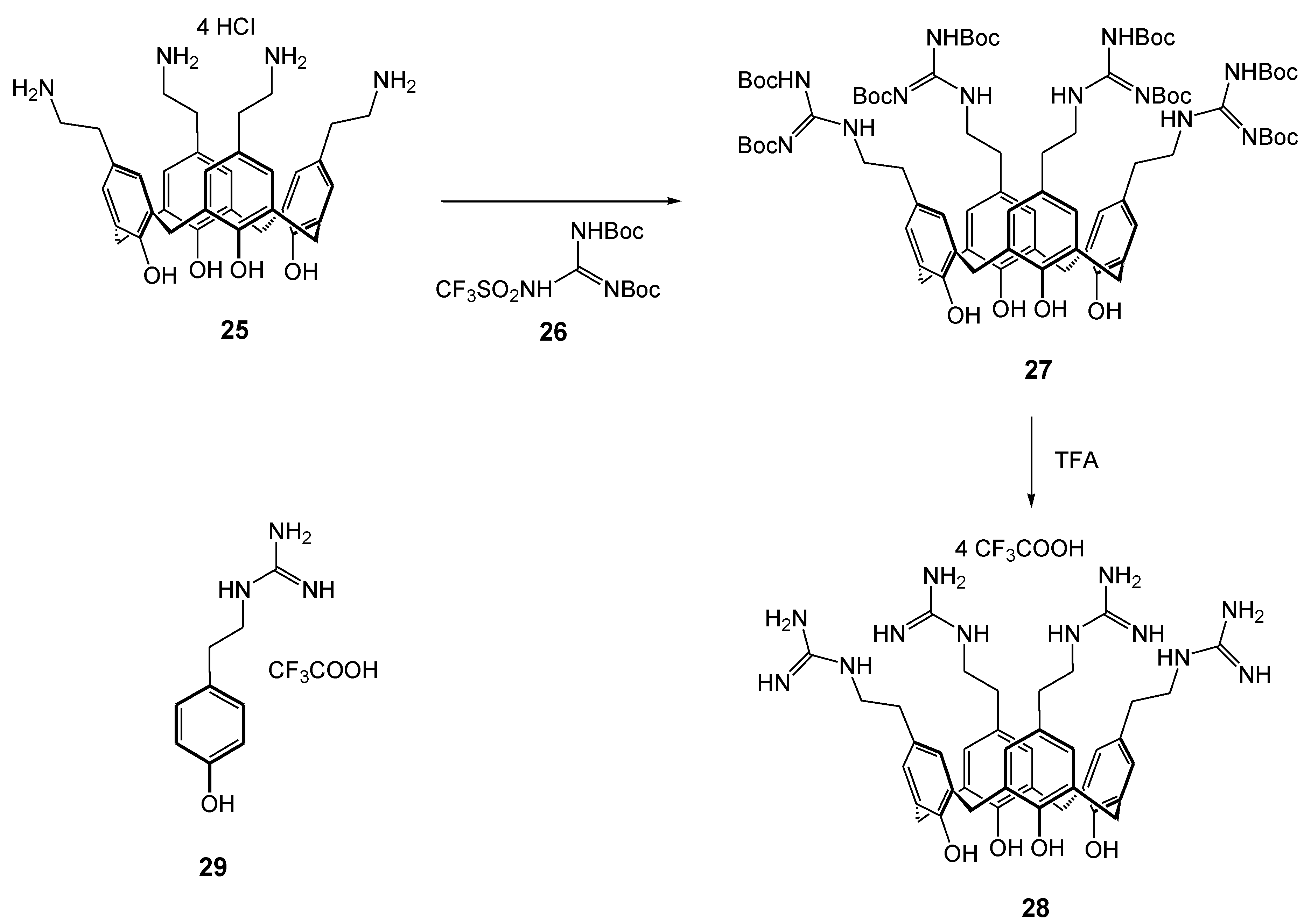 Molecules 28 06954 sch002
