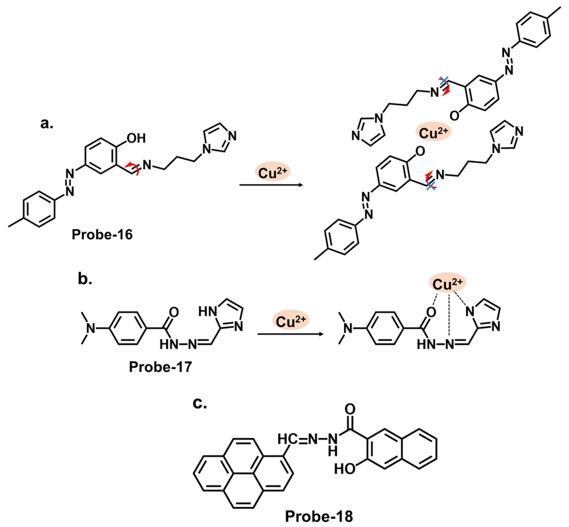 Molecules 28 06960 g006