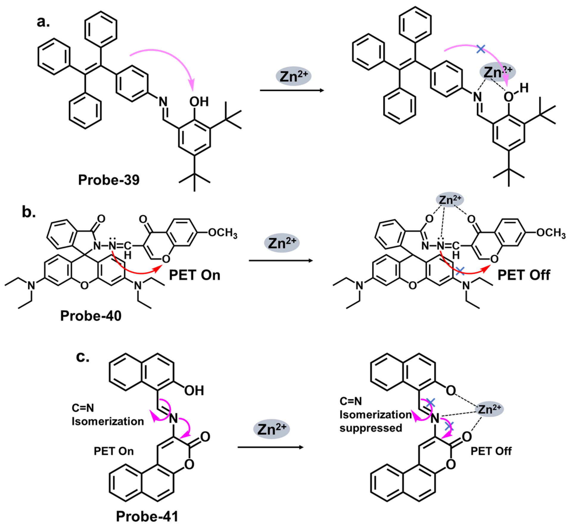 Molecules 28 06960 g013