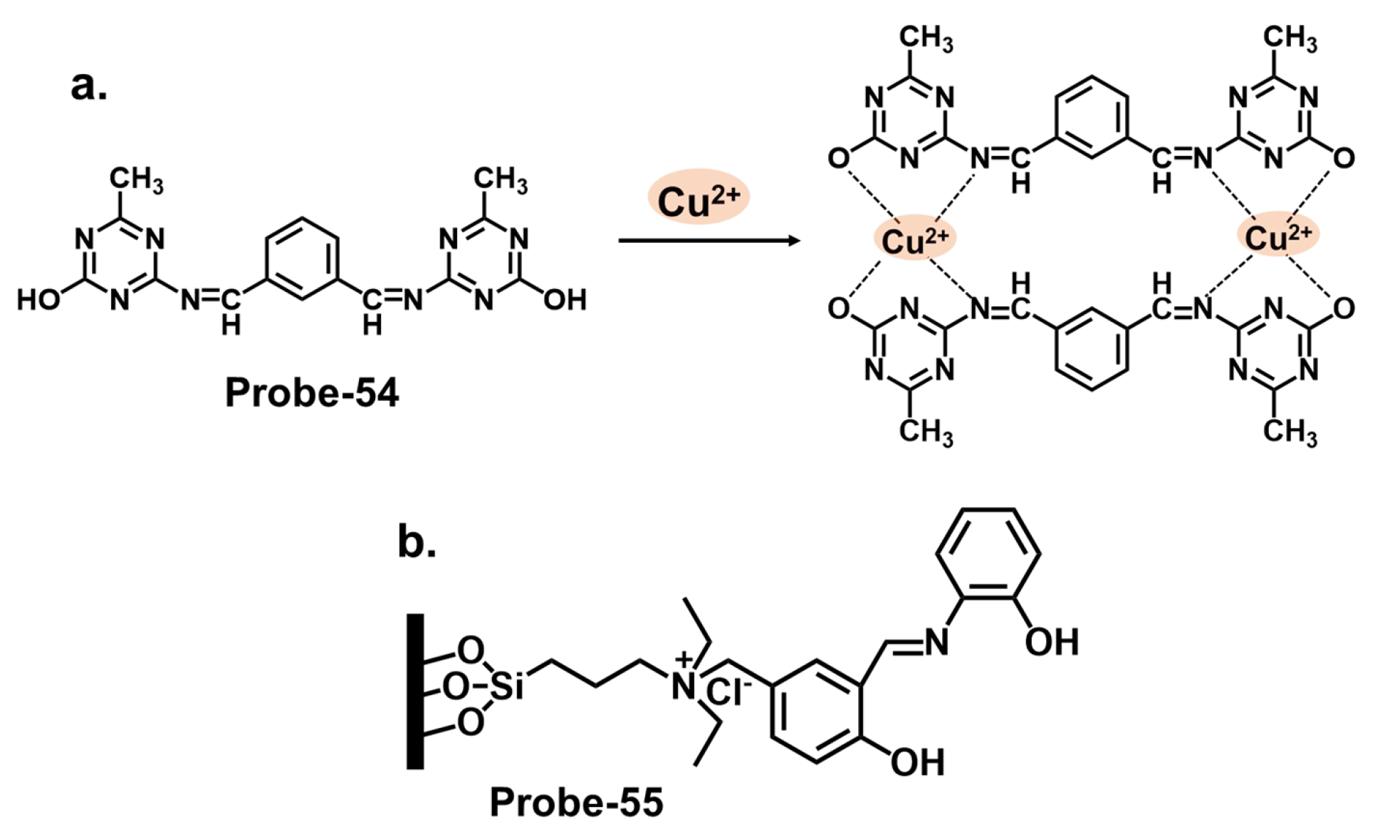Molecules 28 06960 g020