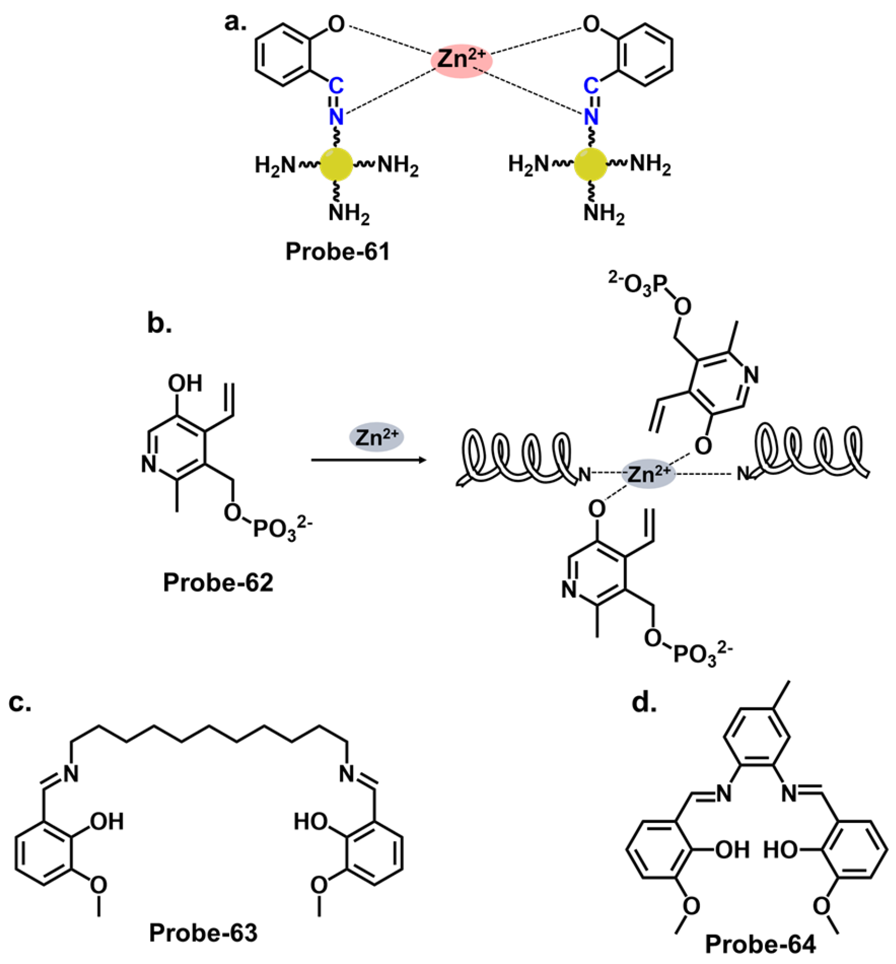 Molecules 28 06960 g023