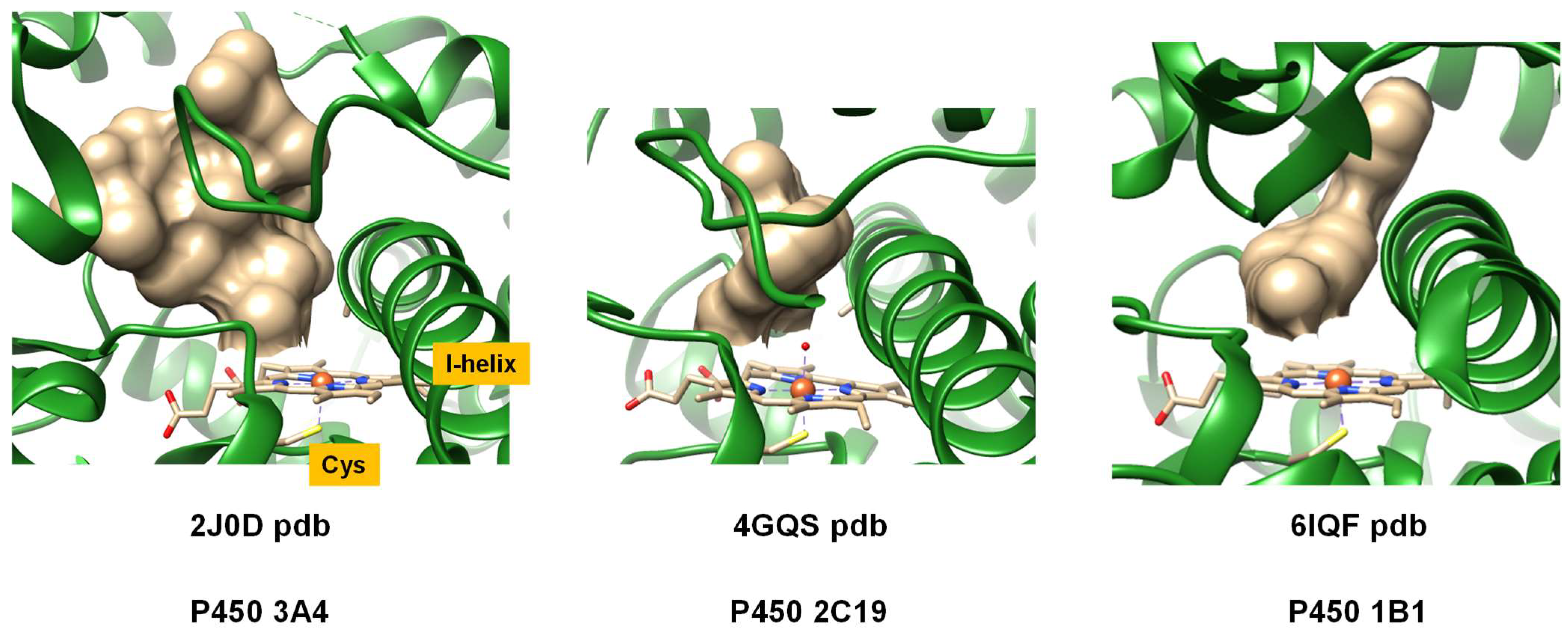 Molecules 28 06961 g001
