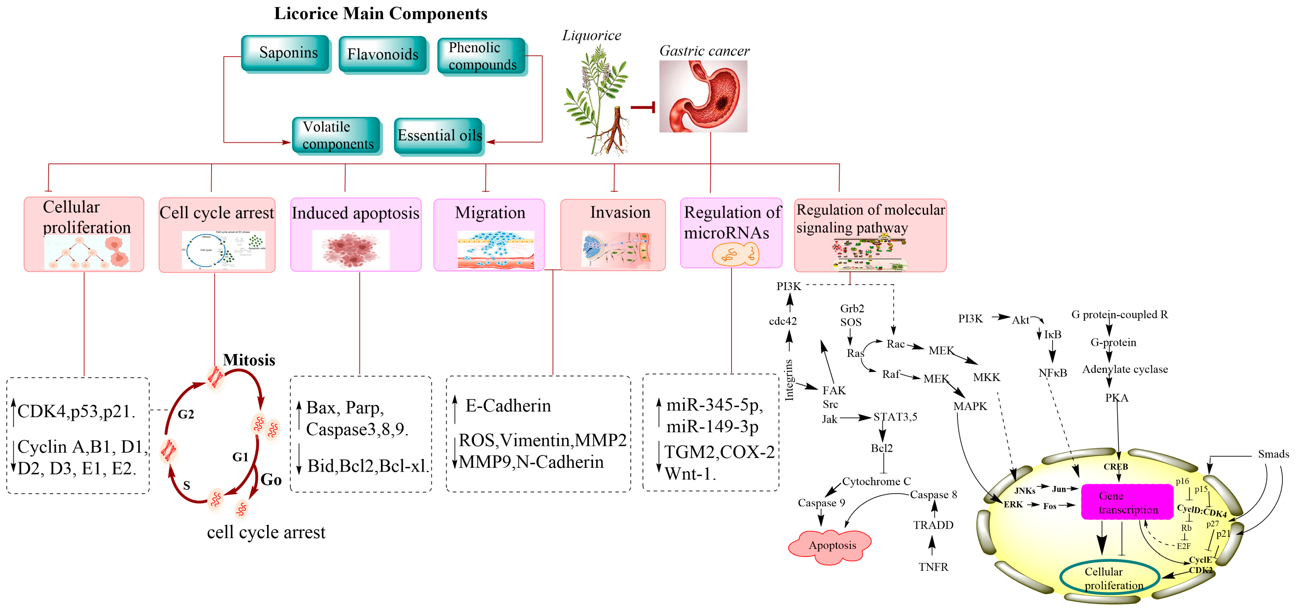 Molecules 28 06966 g002 Molecules 28 06966 g002
