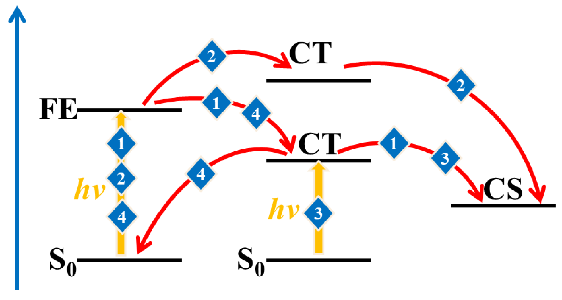 Molecules 28 06968 g004