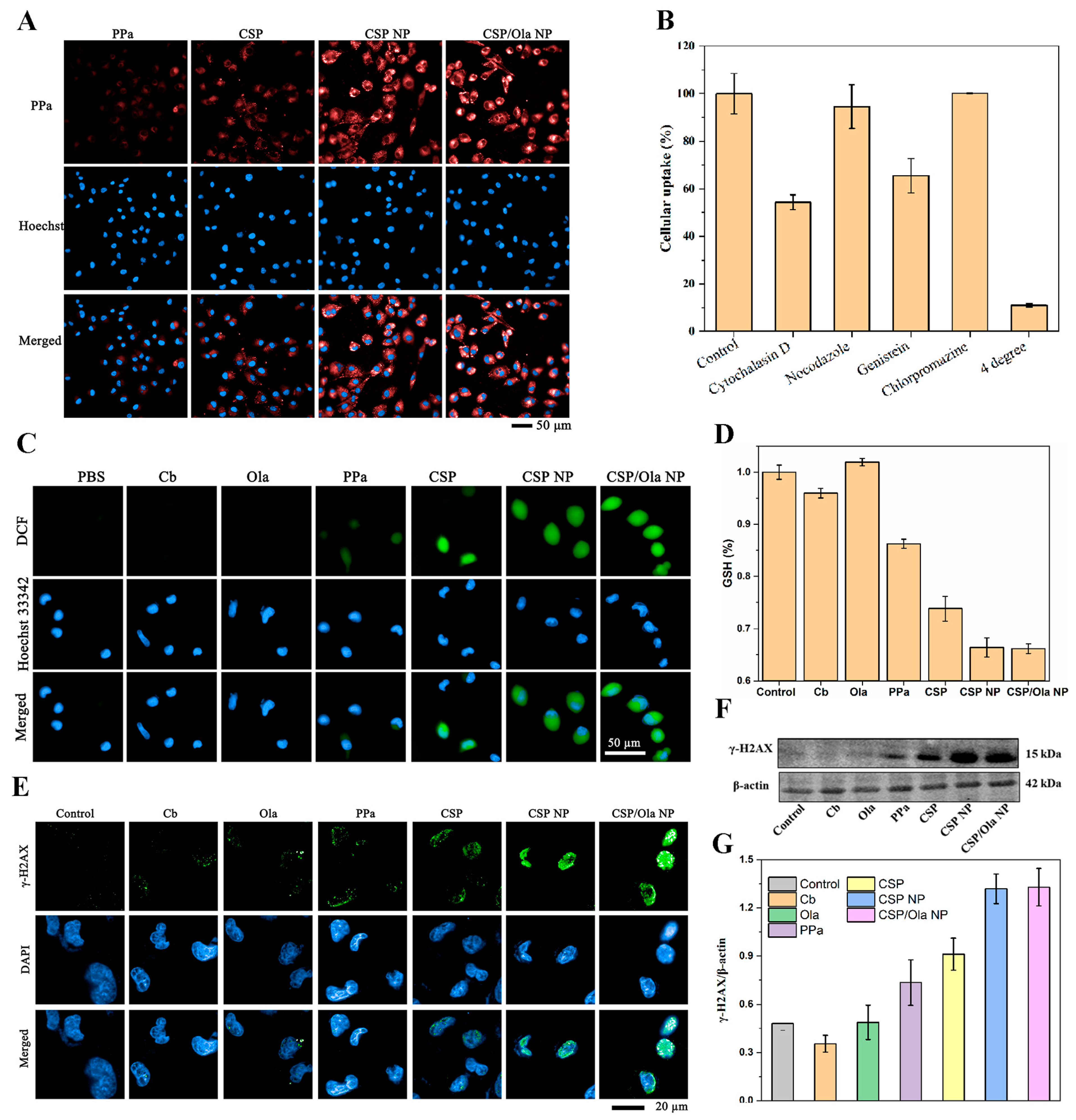 Molecules 28 06972 g003