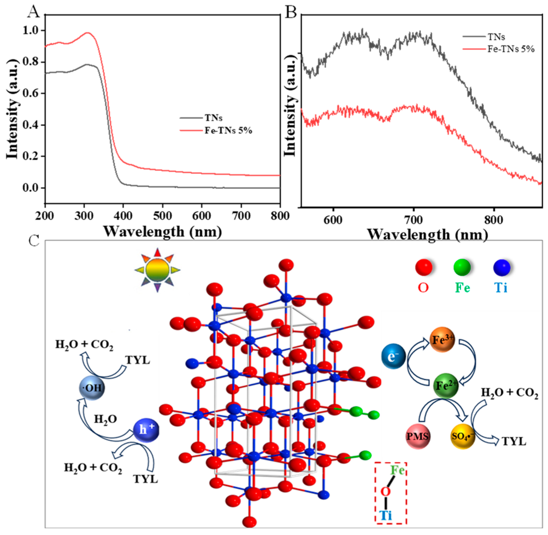 Molecules 28 06977 g006