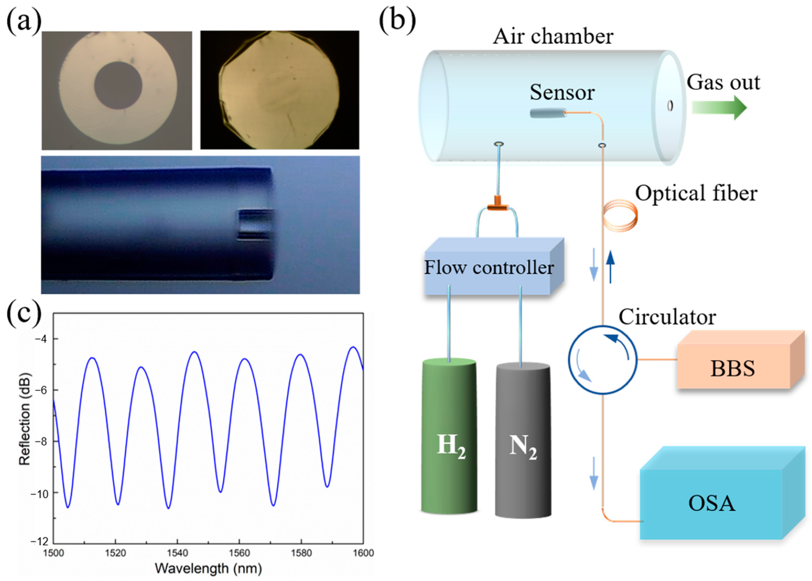 Molecules 28 06984 g002