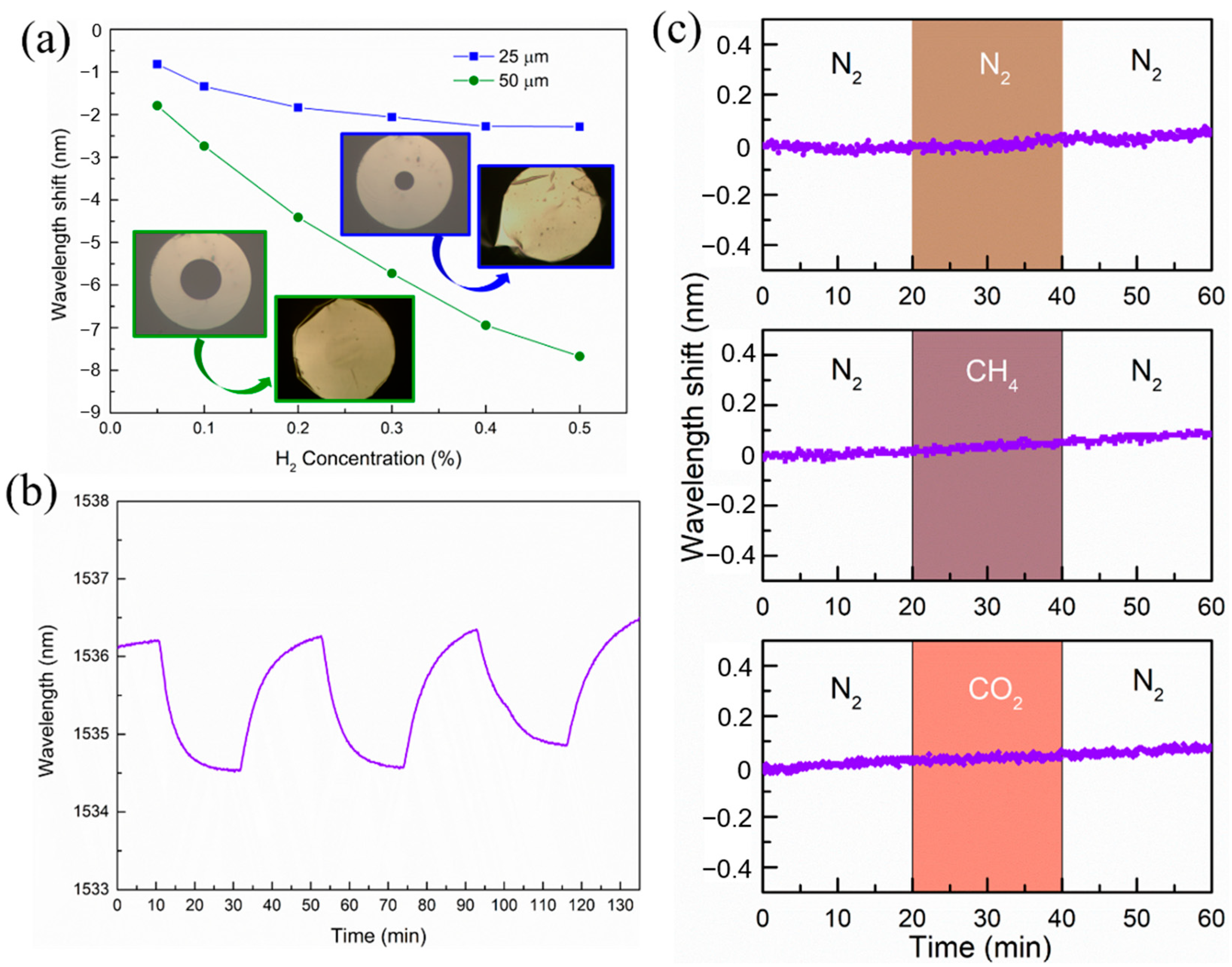 Molecules 28 06984 g004
