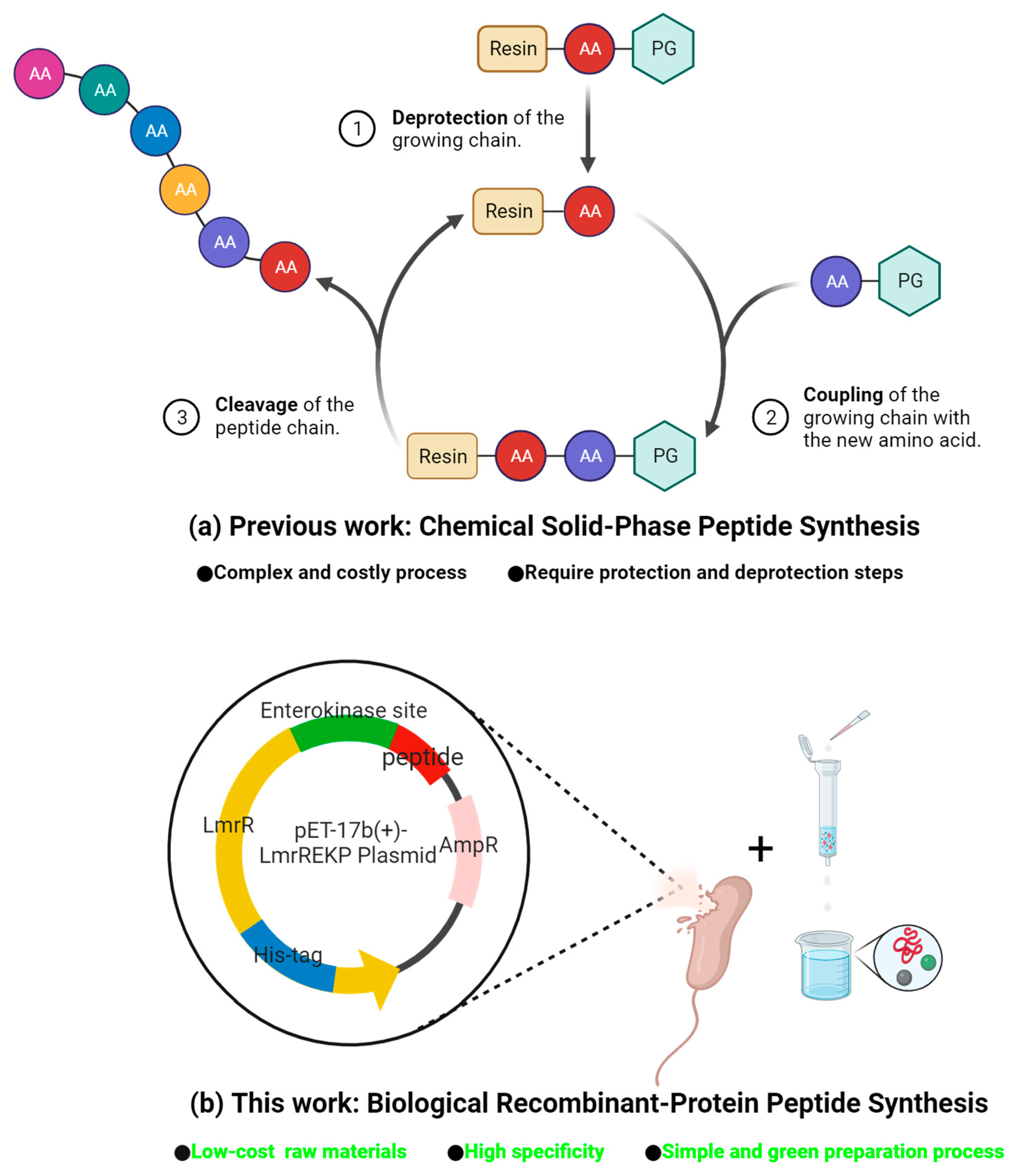 Molecules 28 06985 g001