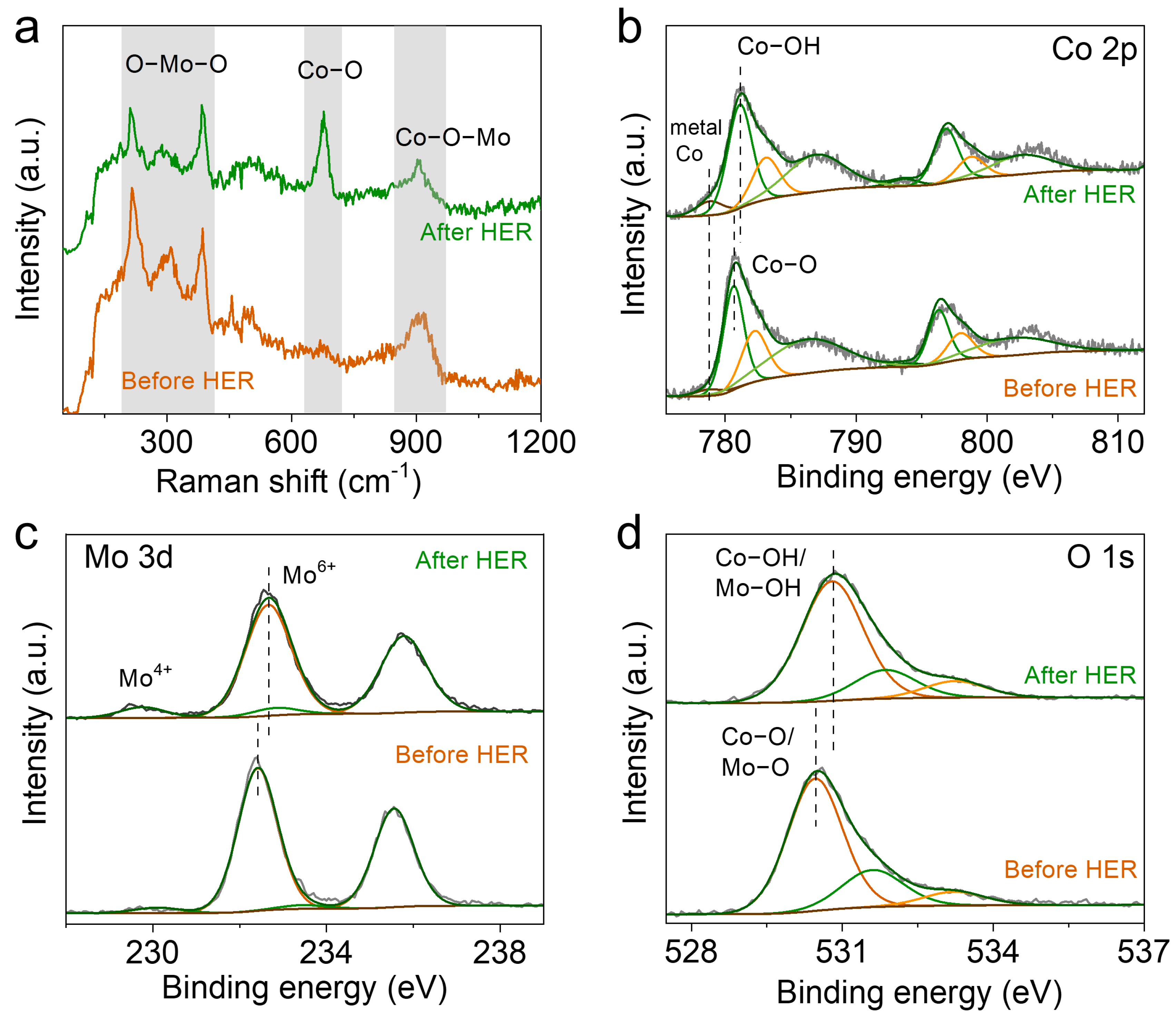Molecules 28 06986 g004
