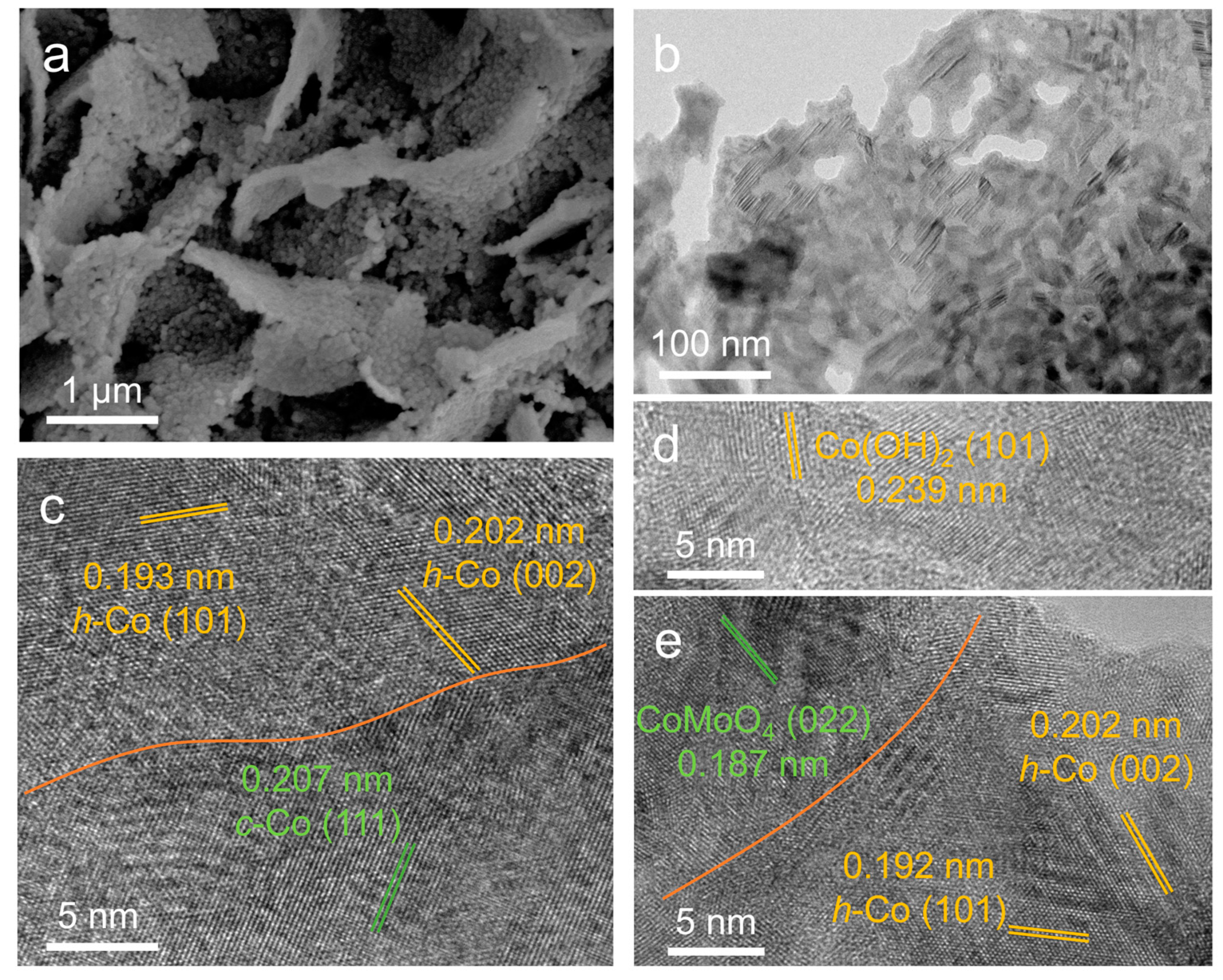Molecules 28 06986 g005