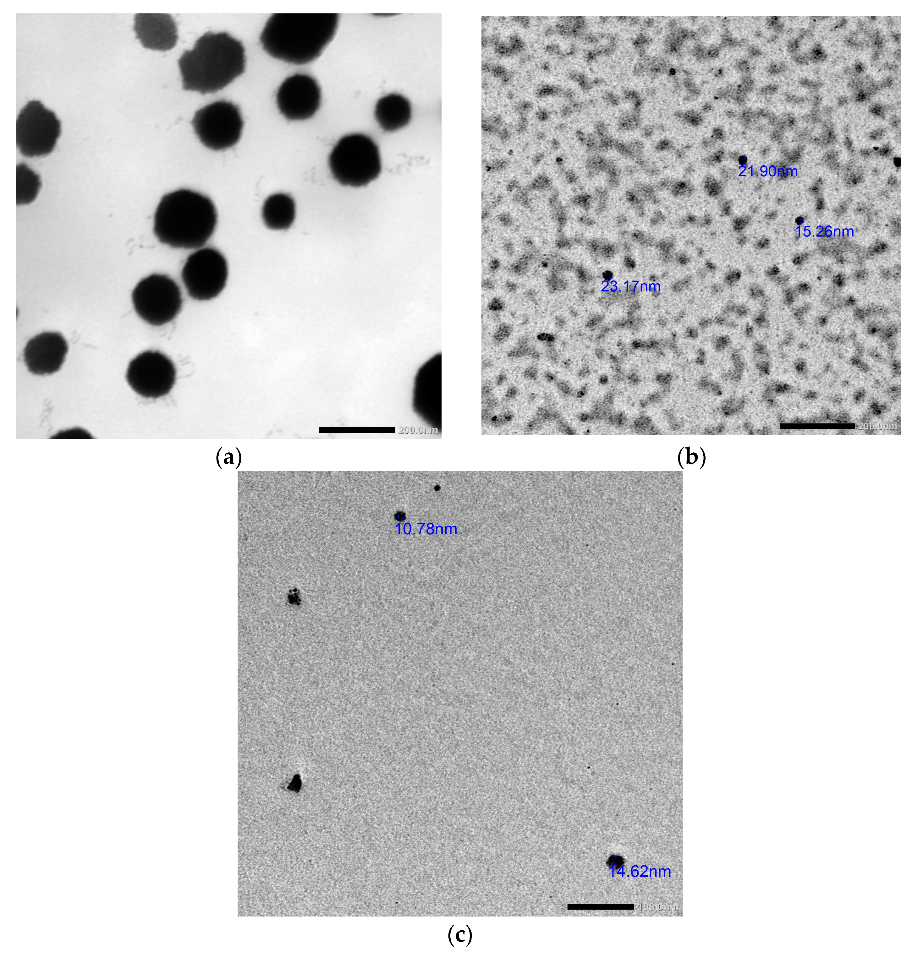 Molecules 28 06988 g004