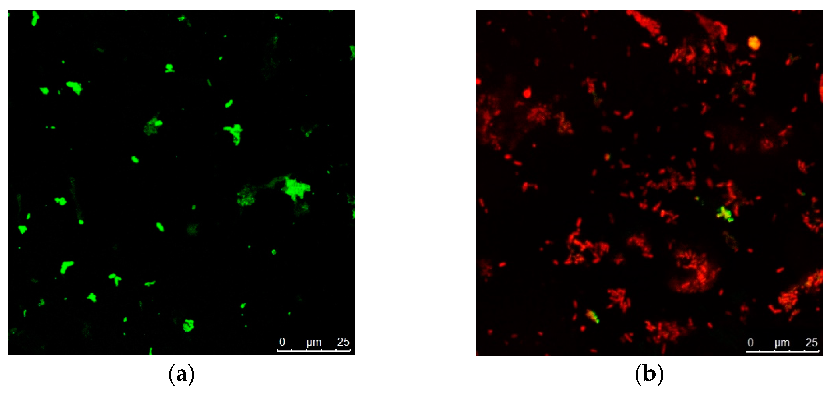 Molecules 28 06988 g007