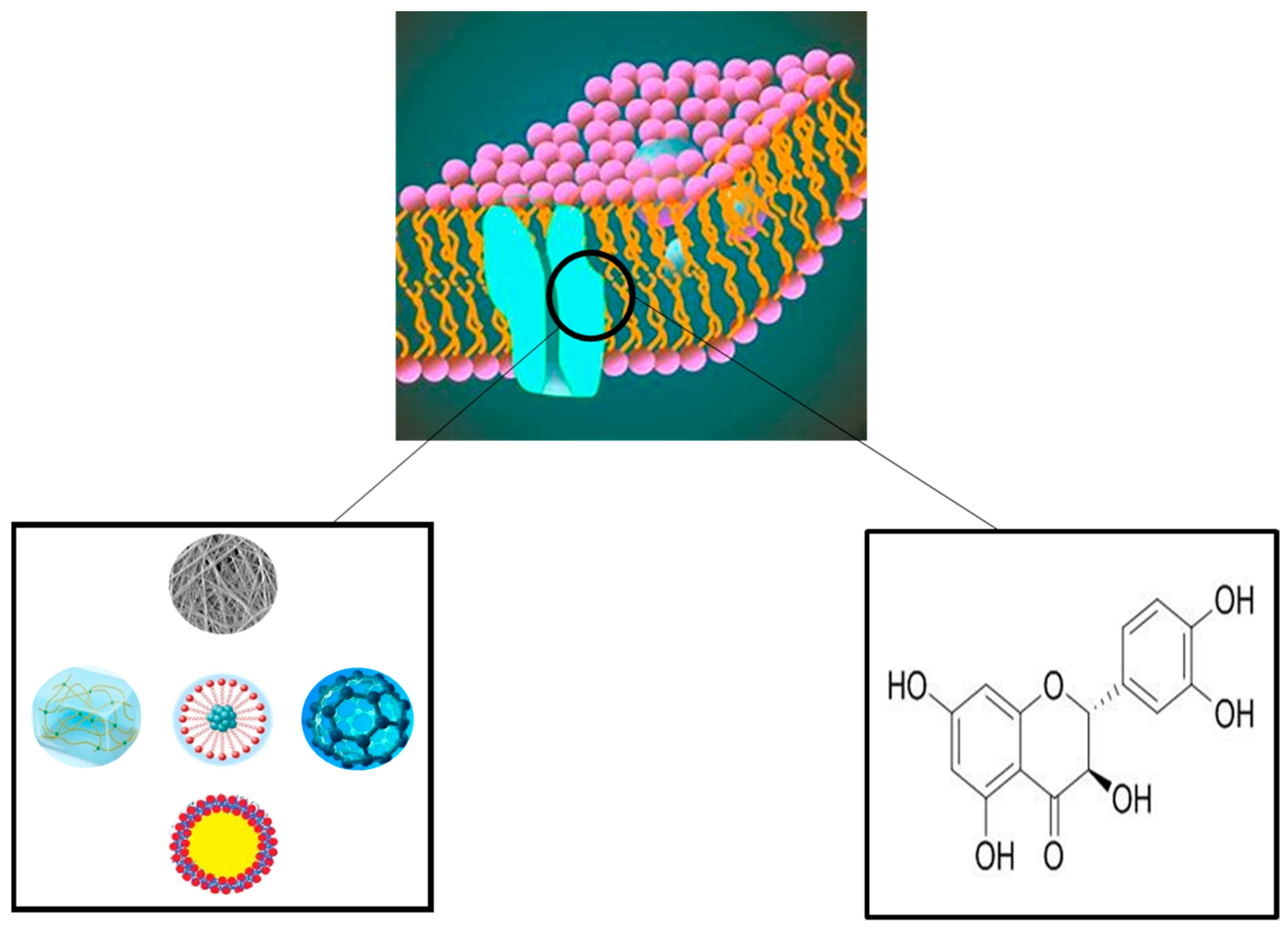 Molecules 28 06989 g001 Molecules 28 06989 g001