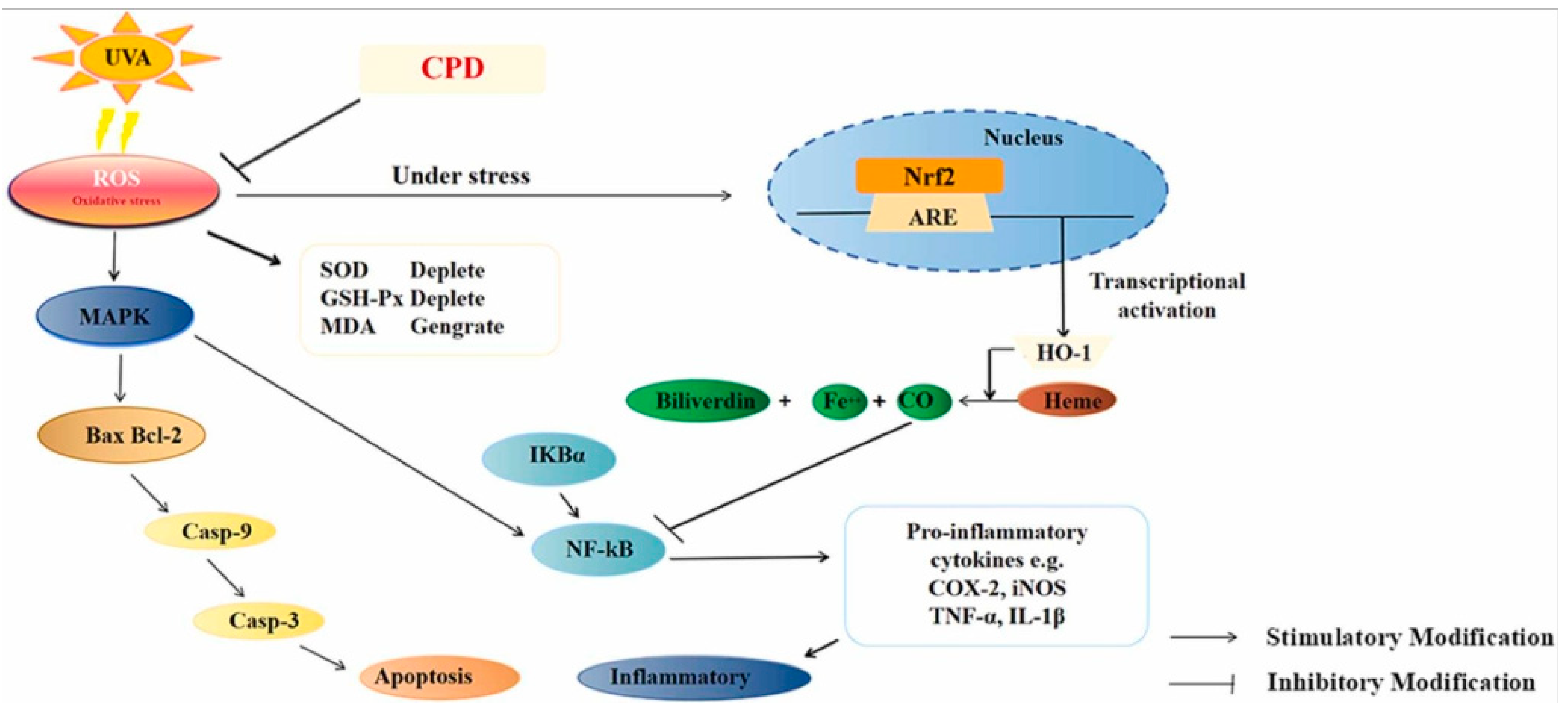 Molecules 28 06989 g002 Molecules 28 06989 g002