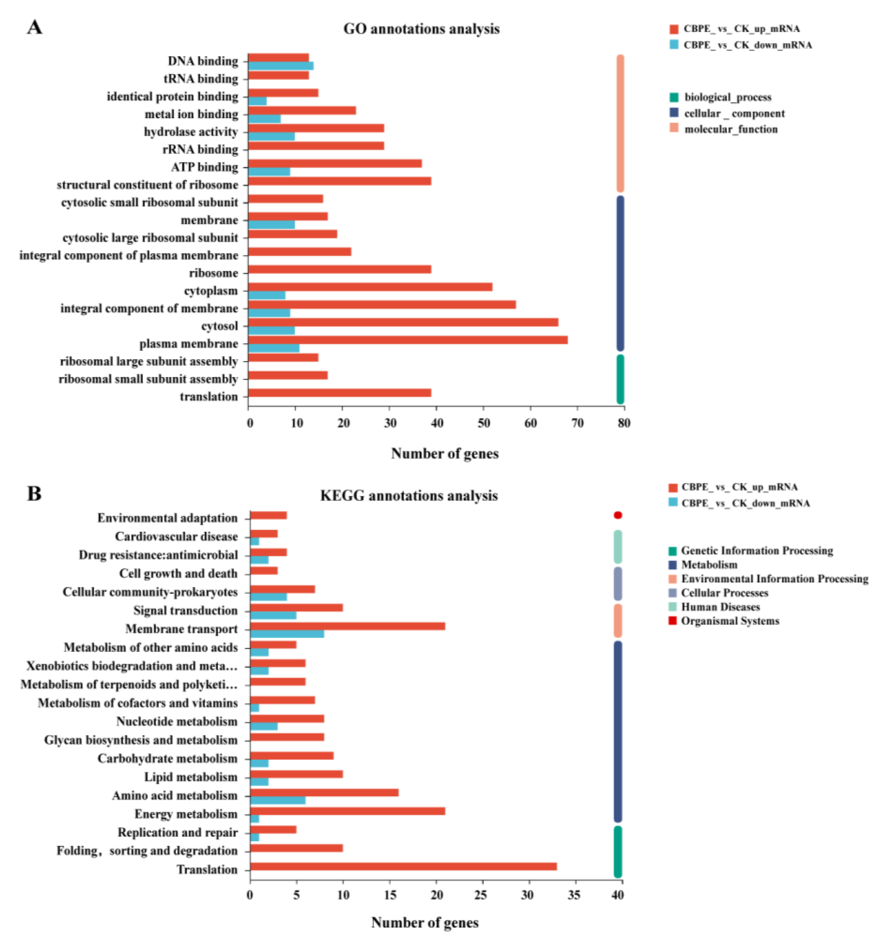 Molecules 28 06990 g004