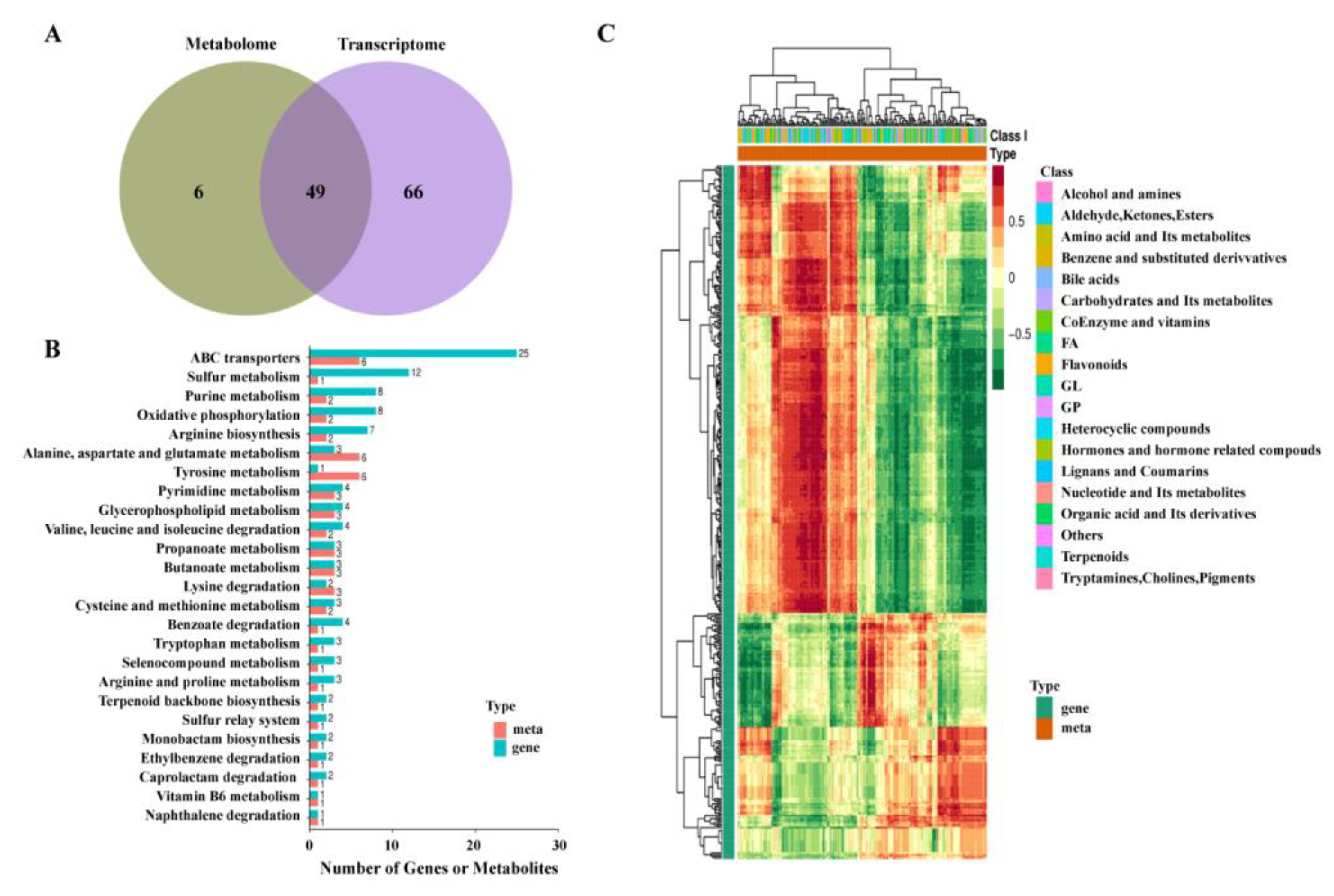 Molecules 28 06990 g006