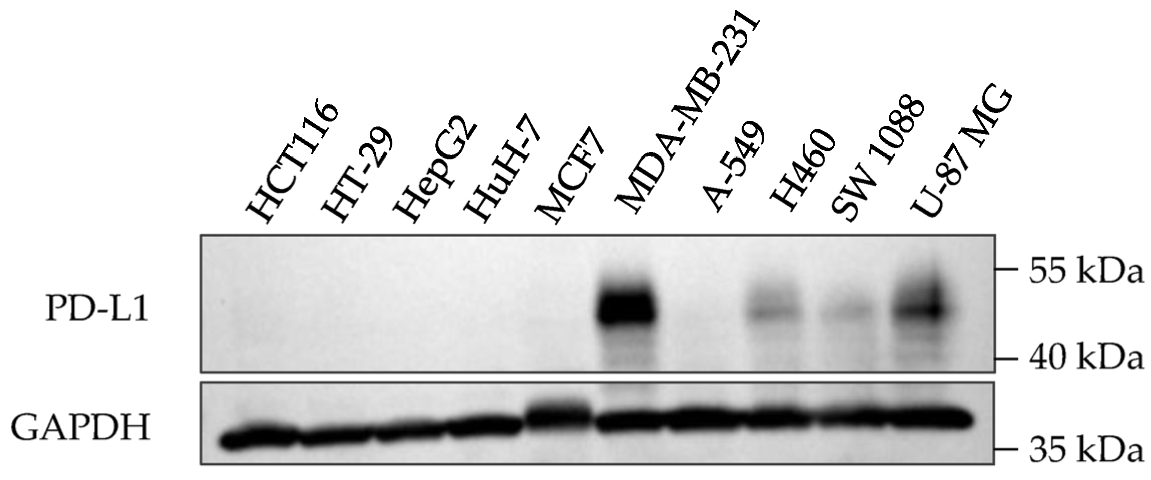 Molecules 28 06991 g003