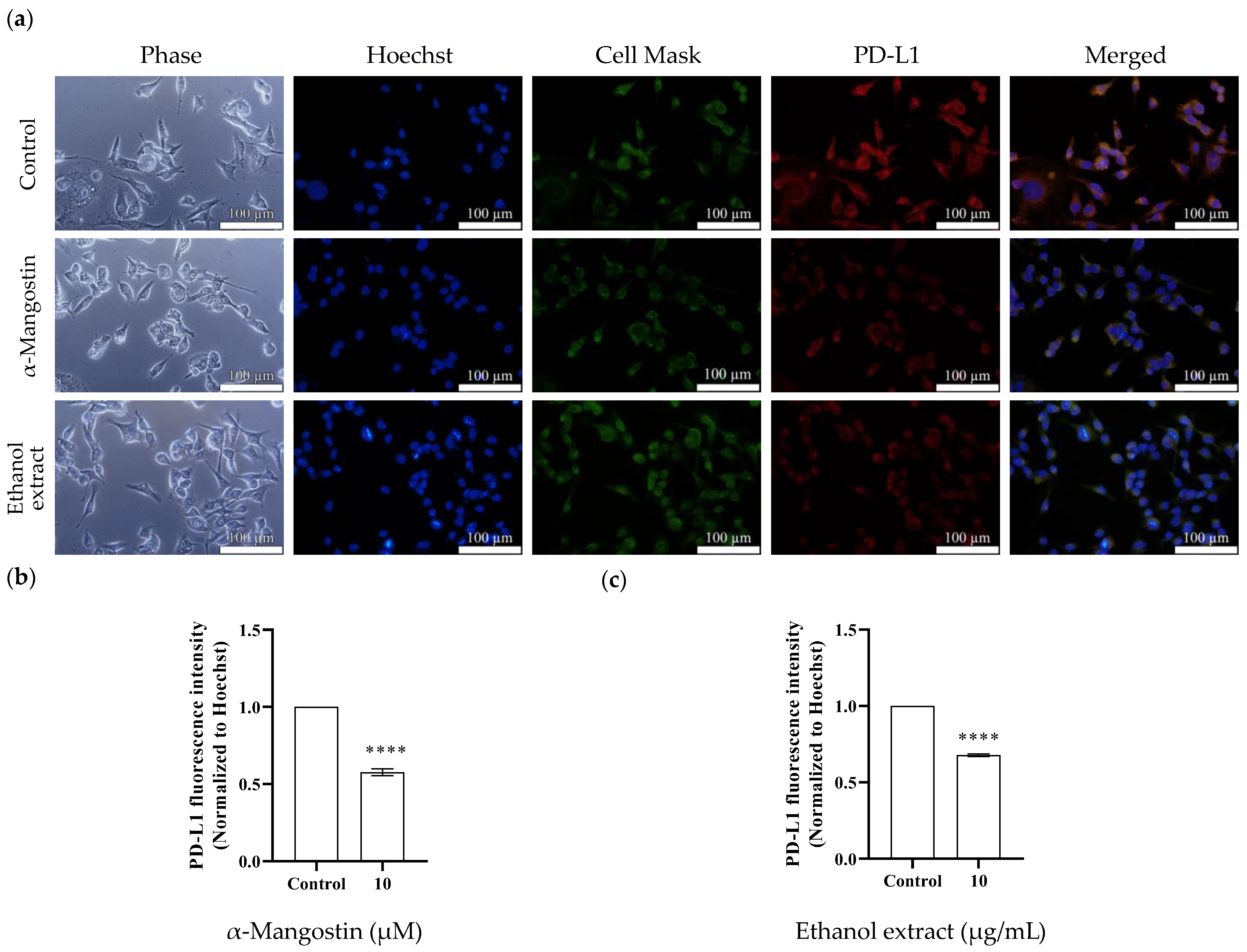 Molecules 28 06991 g006