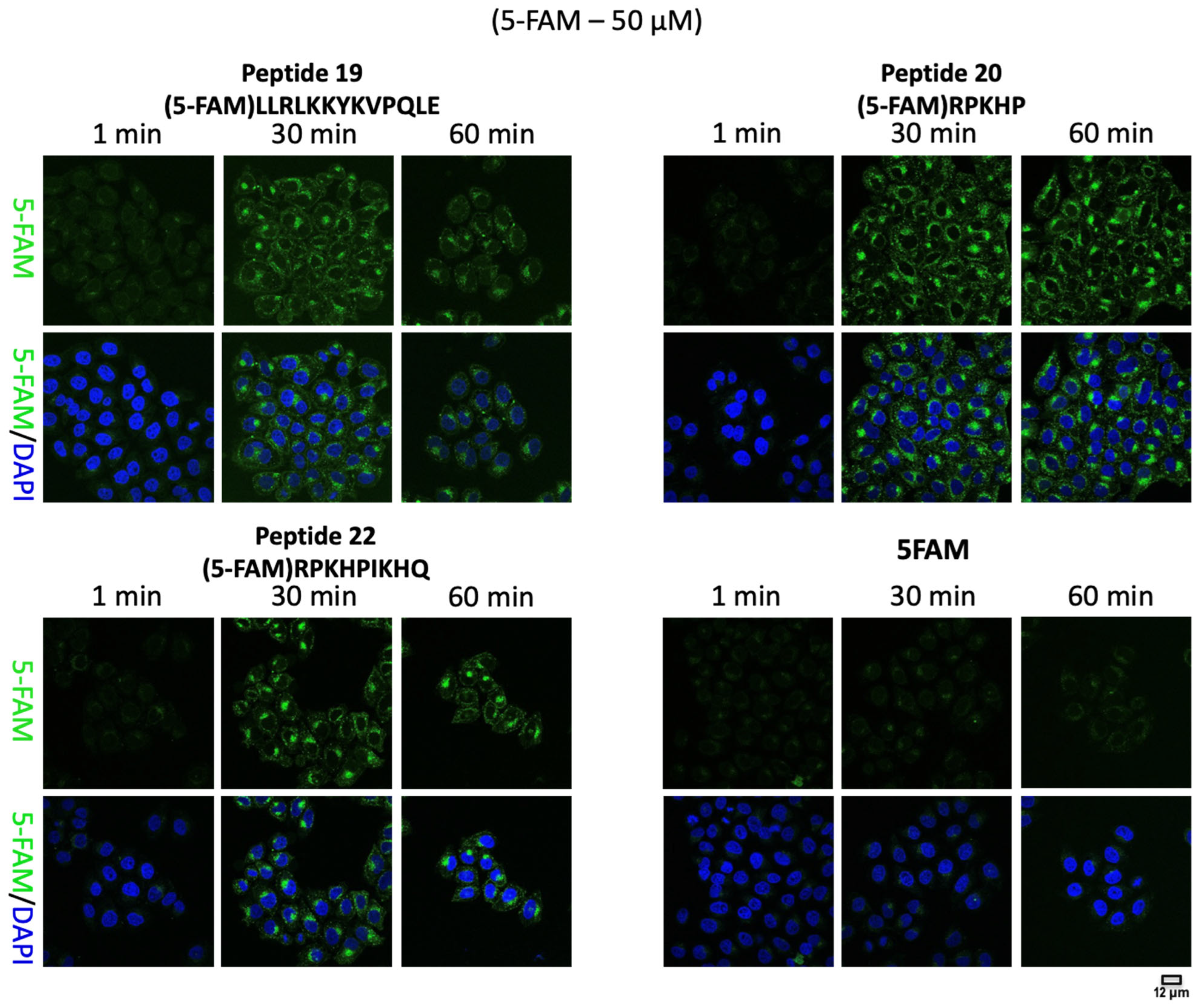 Molecules 28 06999 g002