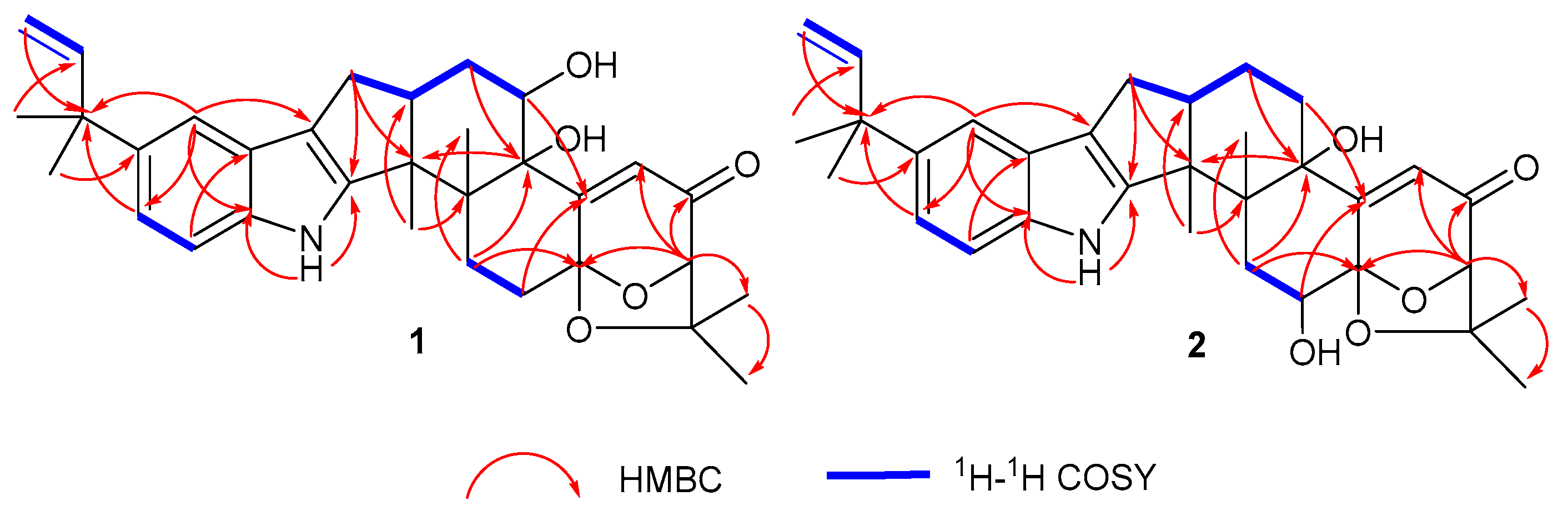 Molecules 28 07003 g002