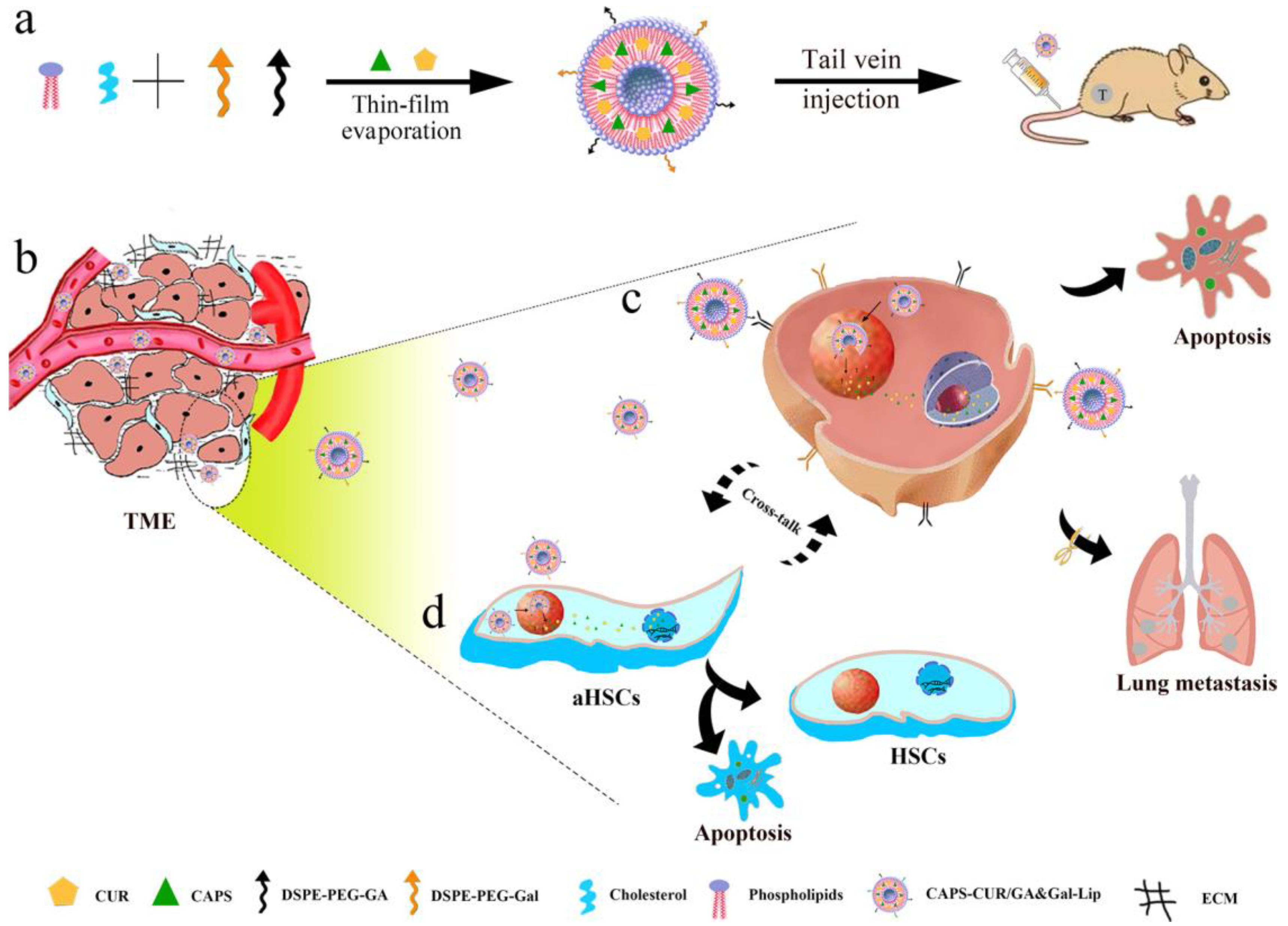 Molecules 28 07004 g004