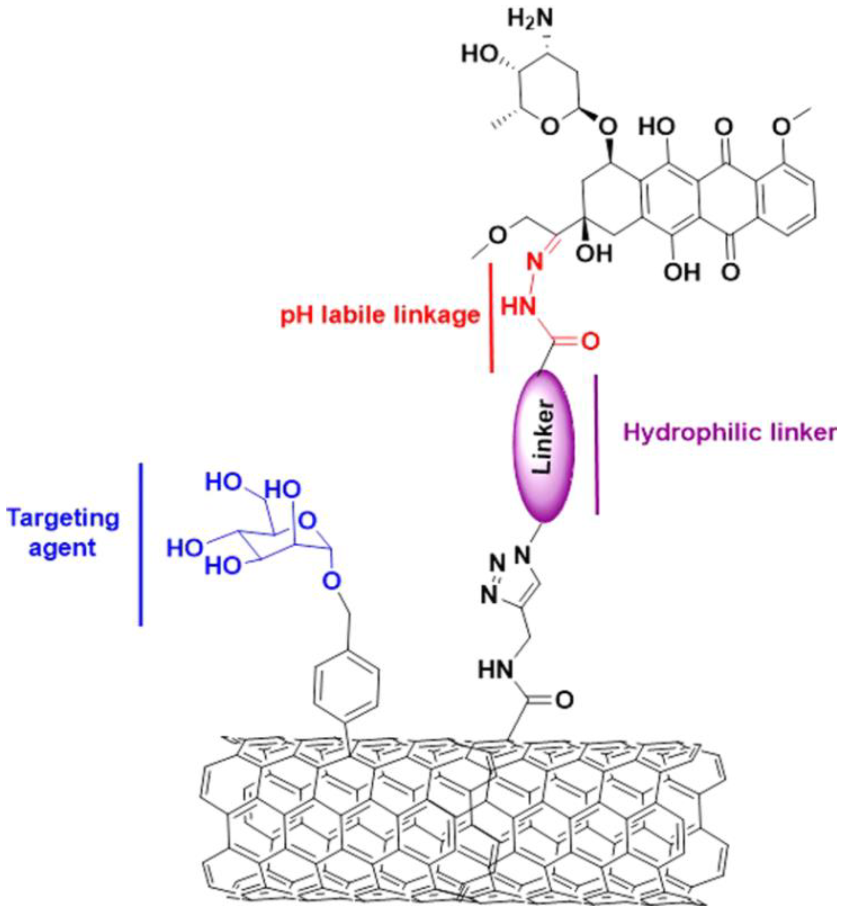 Molecules 28 07004 g005
