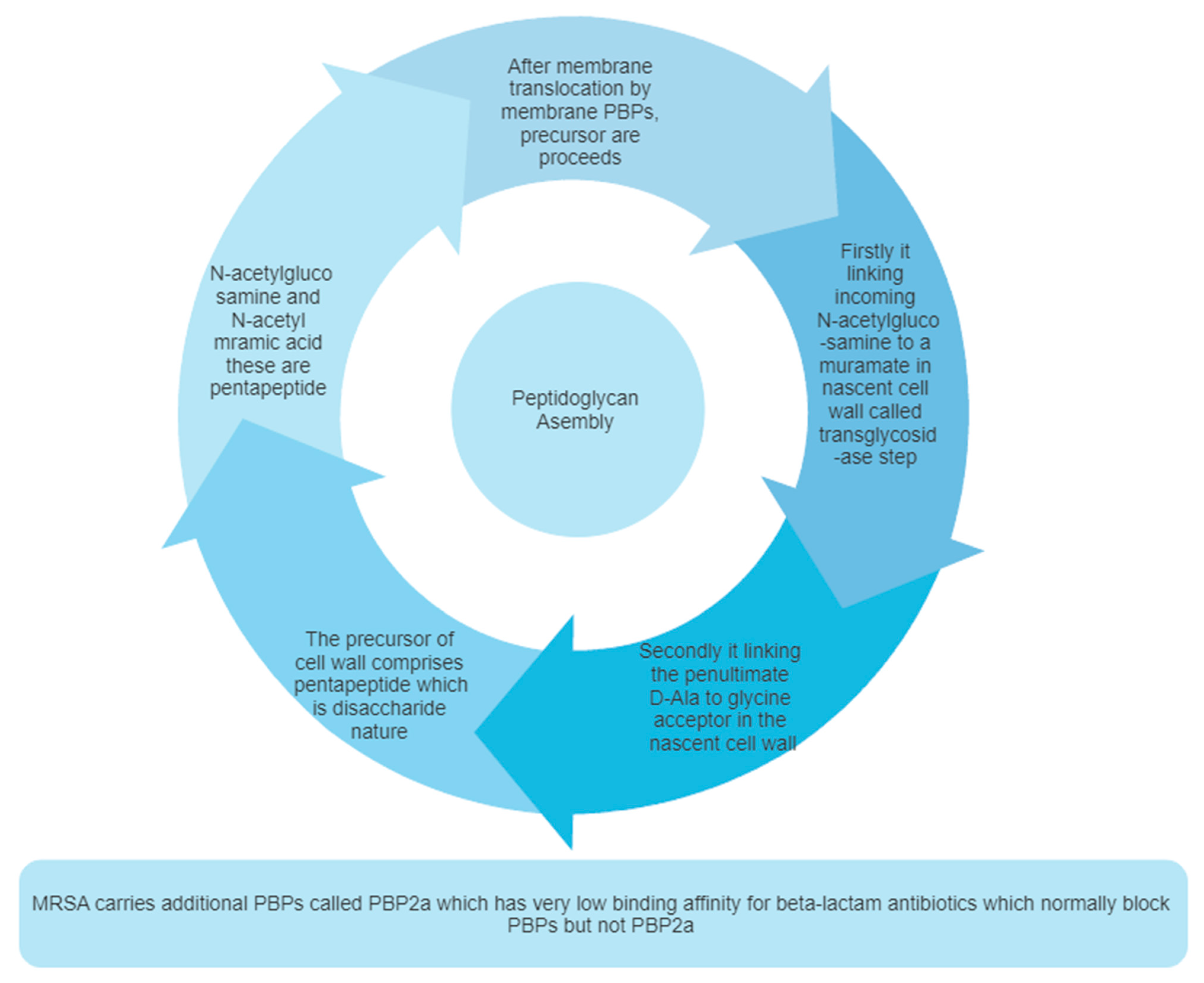 Molecules 28 07008 g002