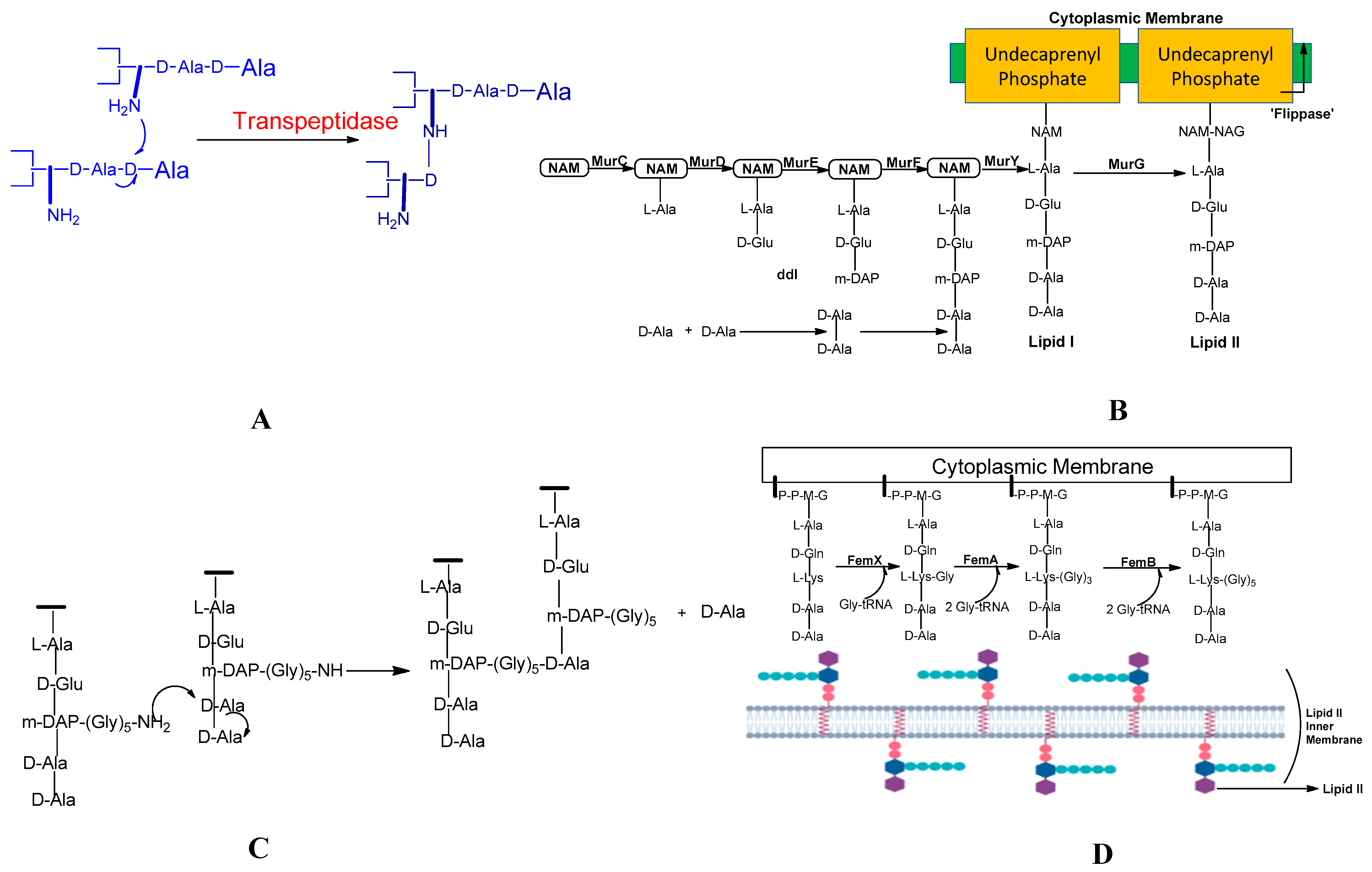 Molecules 28 07008 g004 Molecules 28 07008 g004