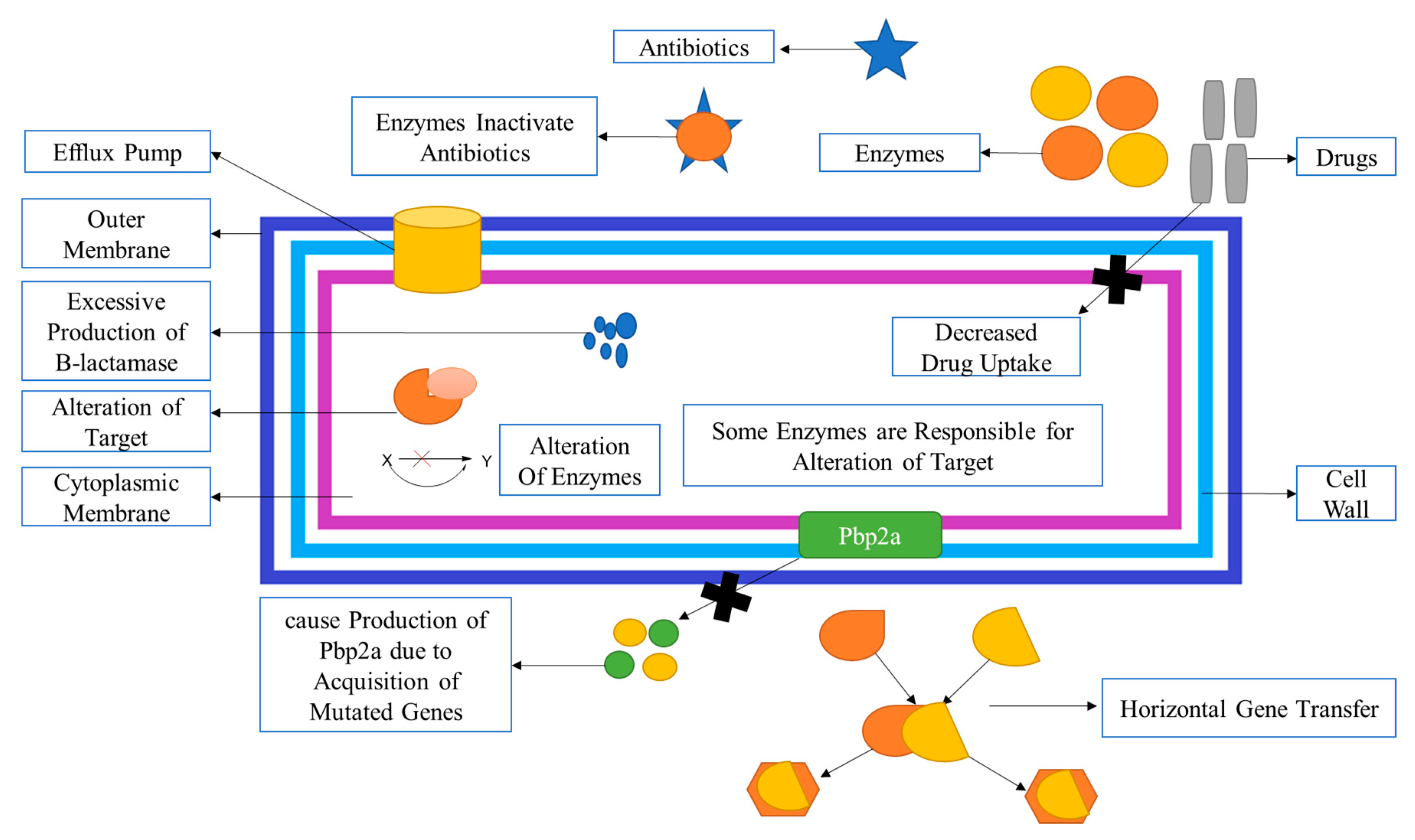 Molecules 28 07008 g005 Molecules 28 07008 g005