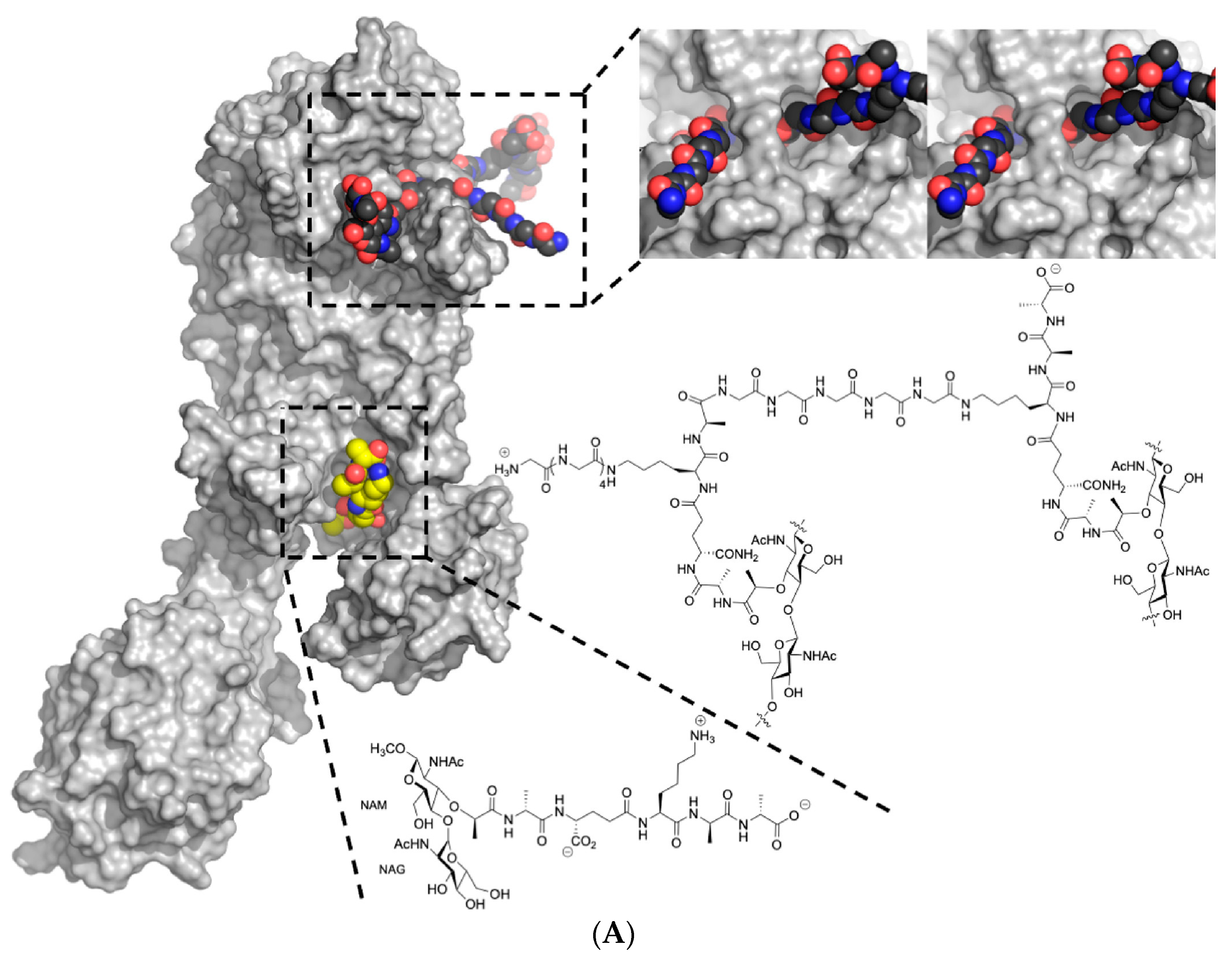Molecules 28 07008 g022a Molecules 28 07008 g022a