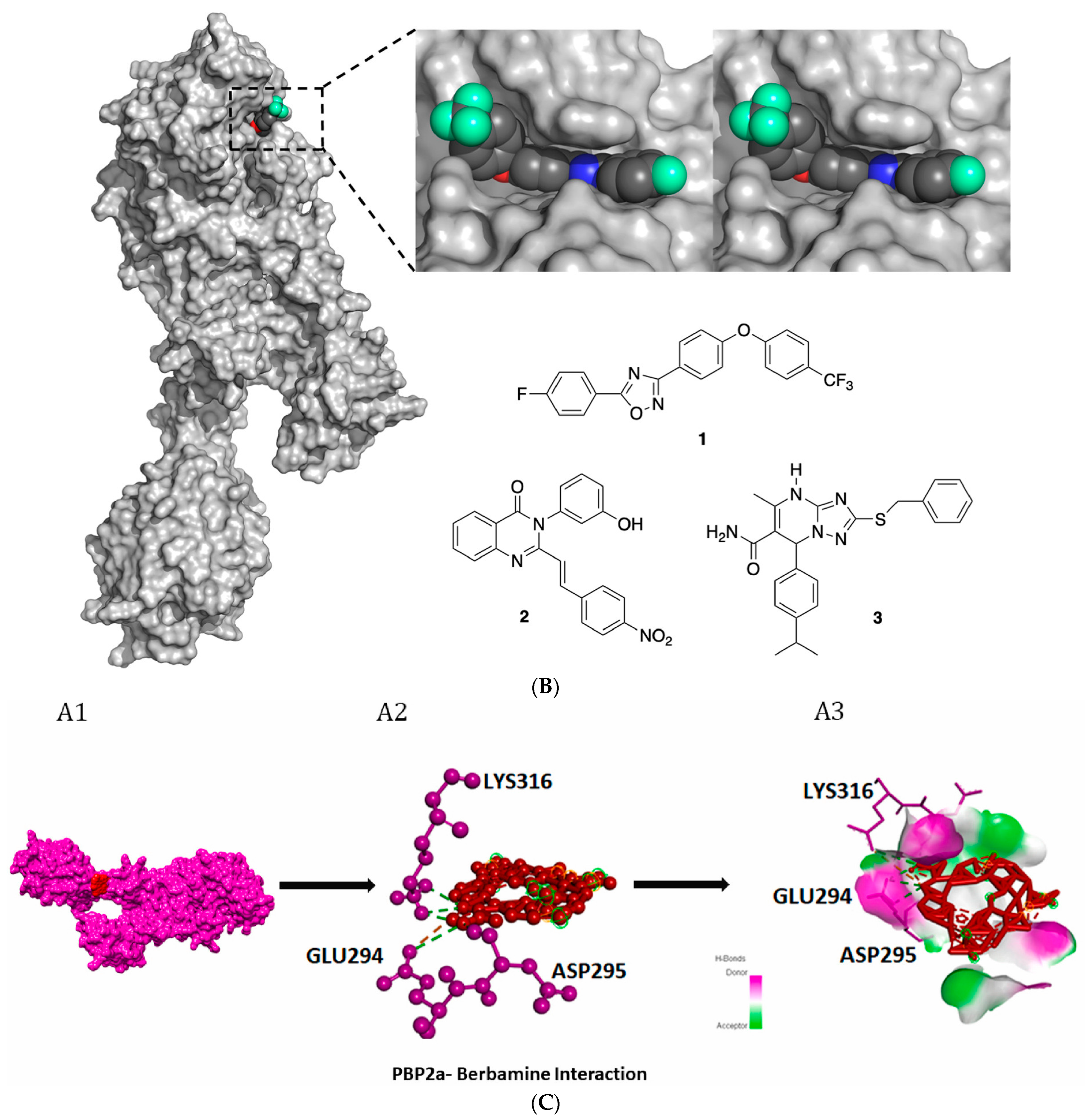 Molecules 28 07008 g022b Molecules 28 07008 g022b