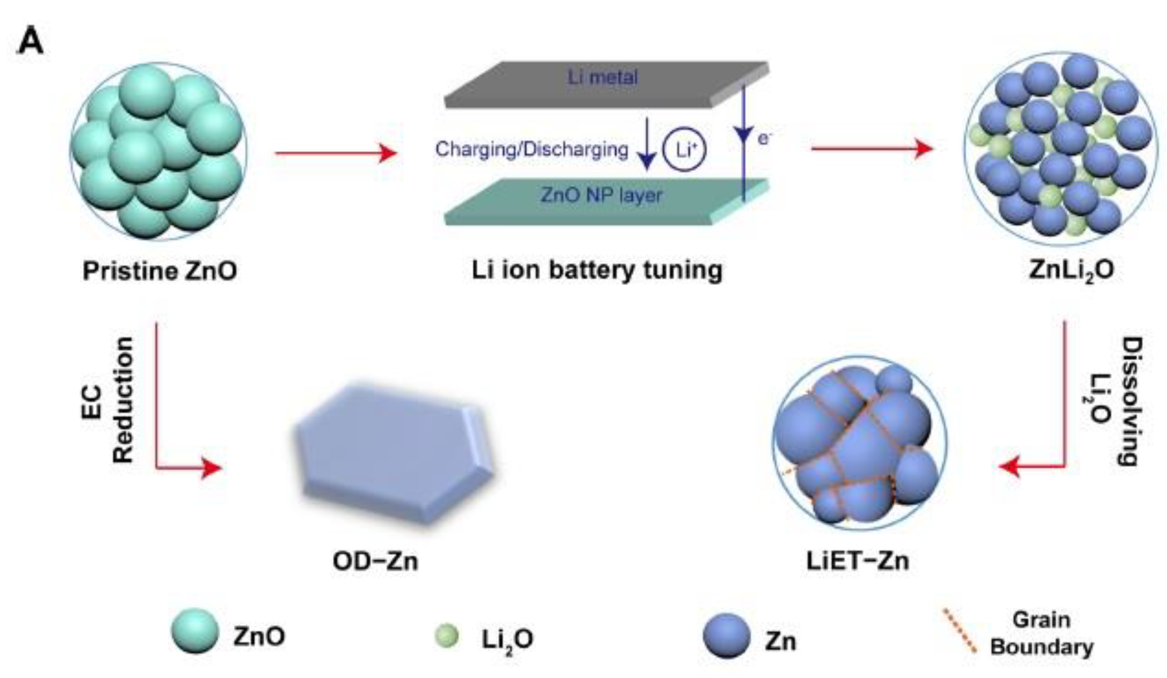 Molecules 28 07016 g006