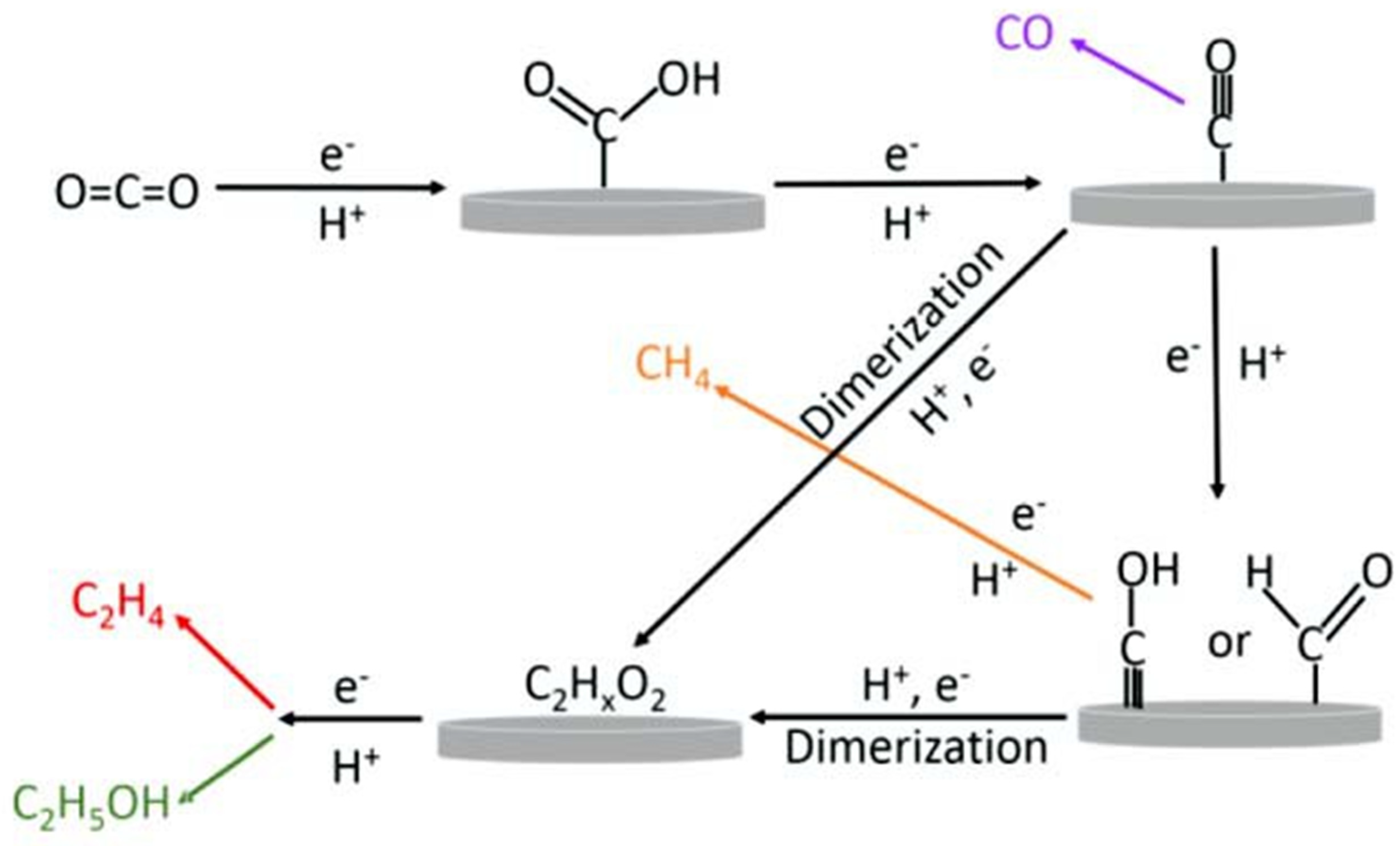 Molecules 28 07016 g007