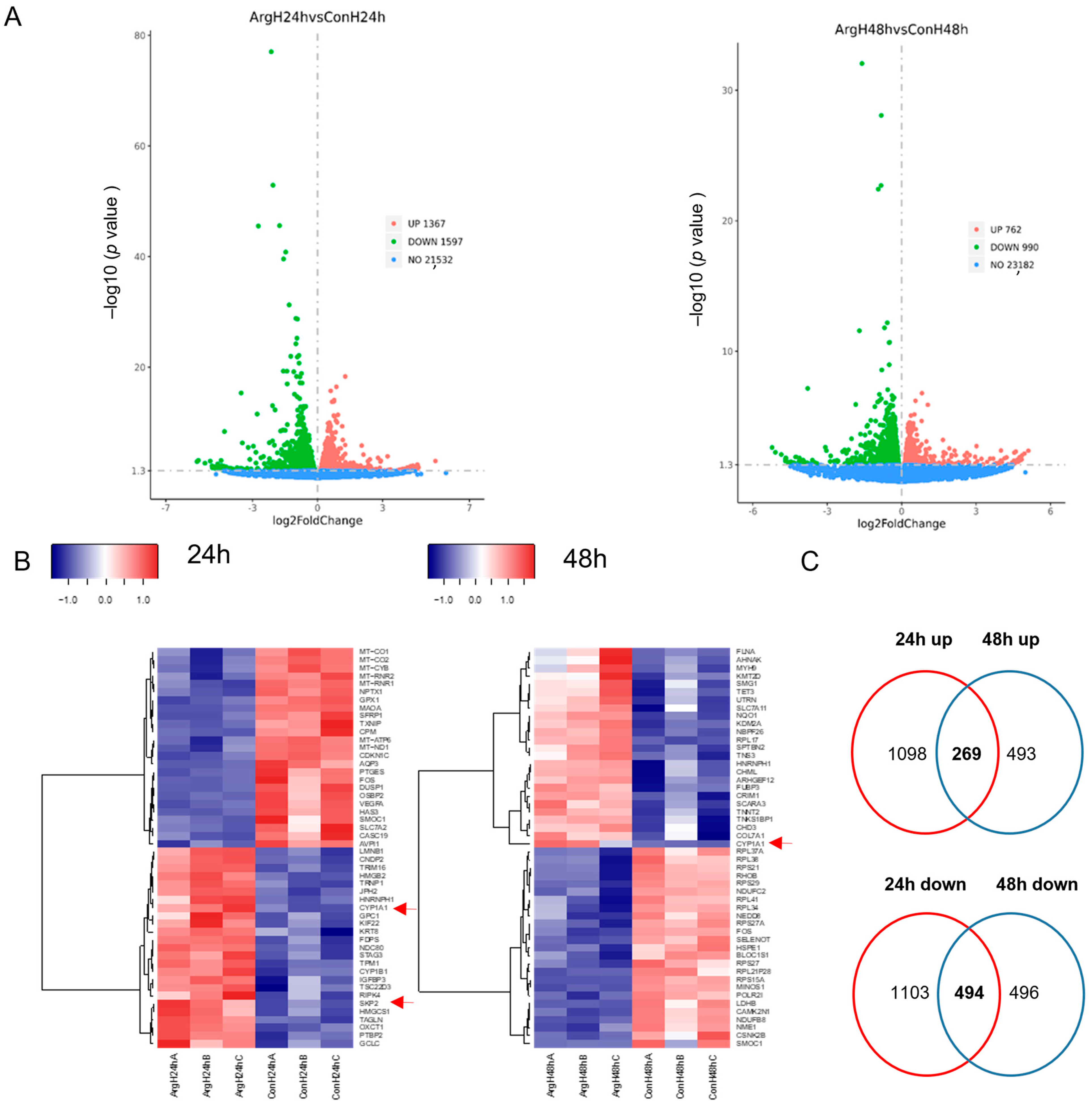Molecules 28 07020 g002 Molecules 28 07020 g002