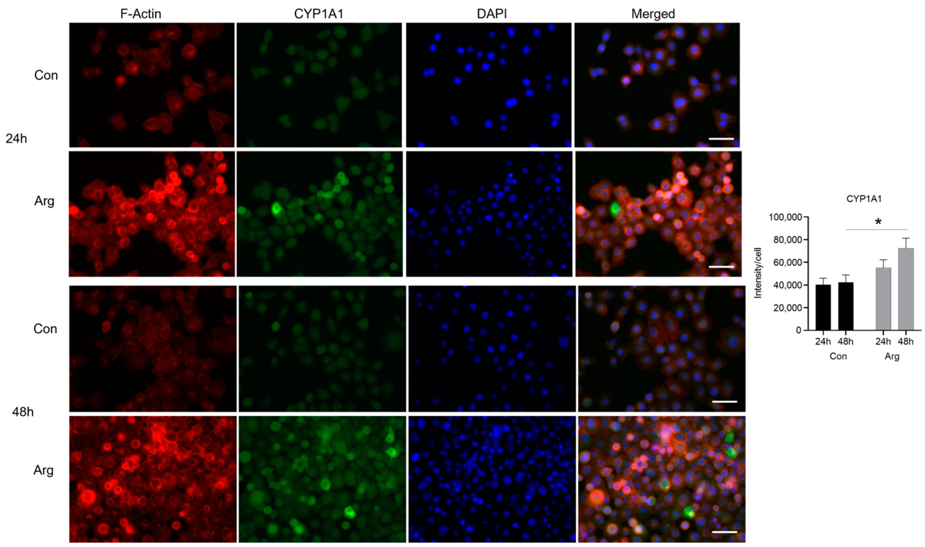 Molecules 28 07020 g005 Molecules 28 07020 g005