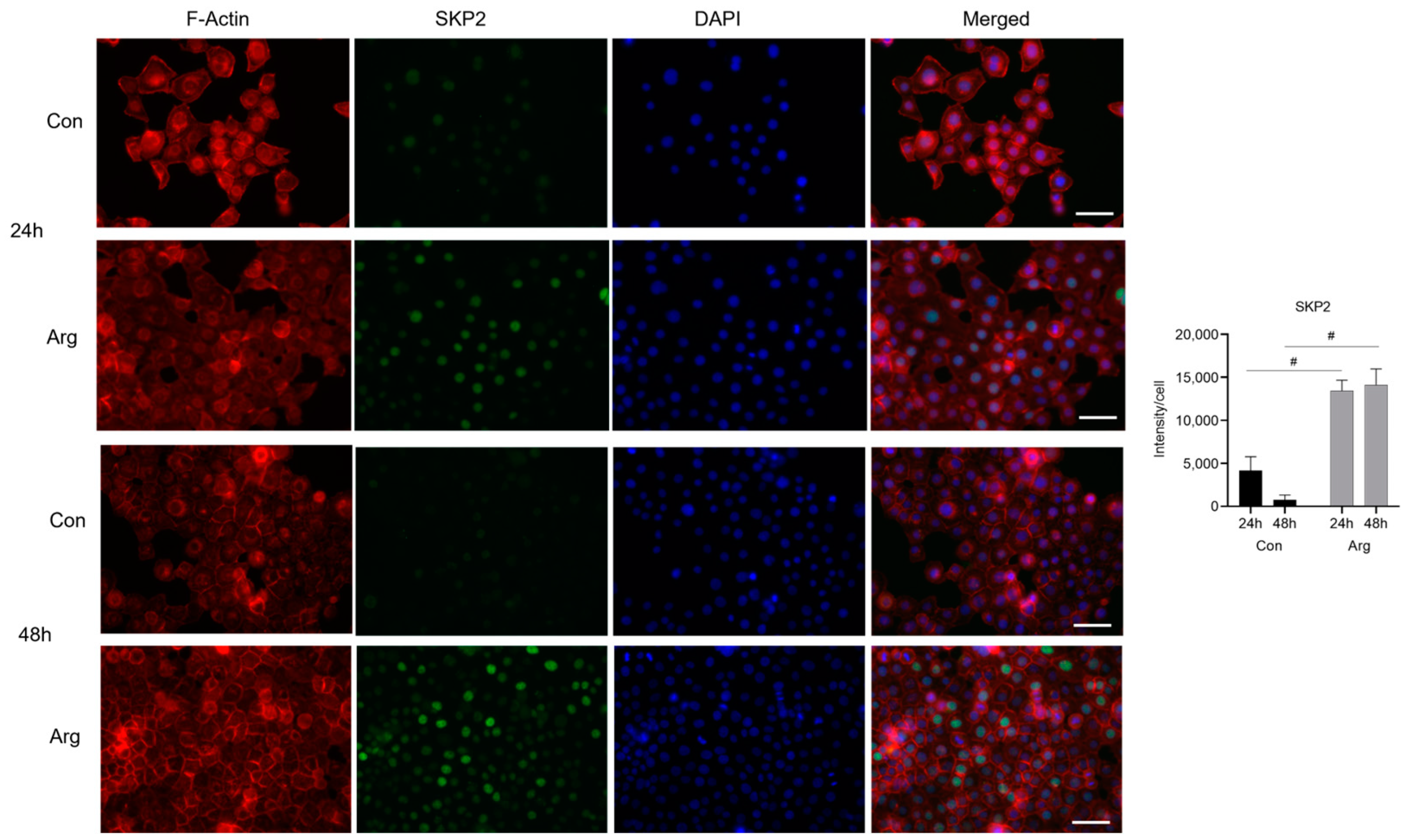 Molecules 28 07020 g006 Molecules 28 07020 g006