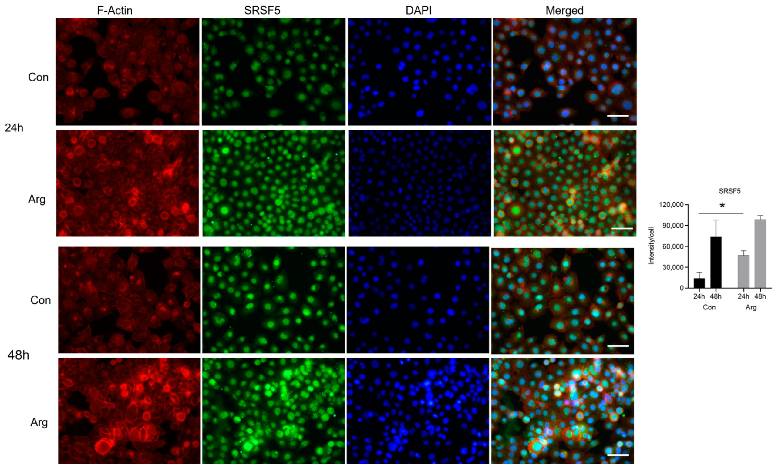 Molecules 28 07020 g007 Molecules 28 07020 g007