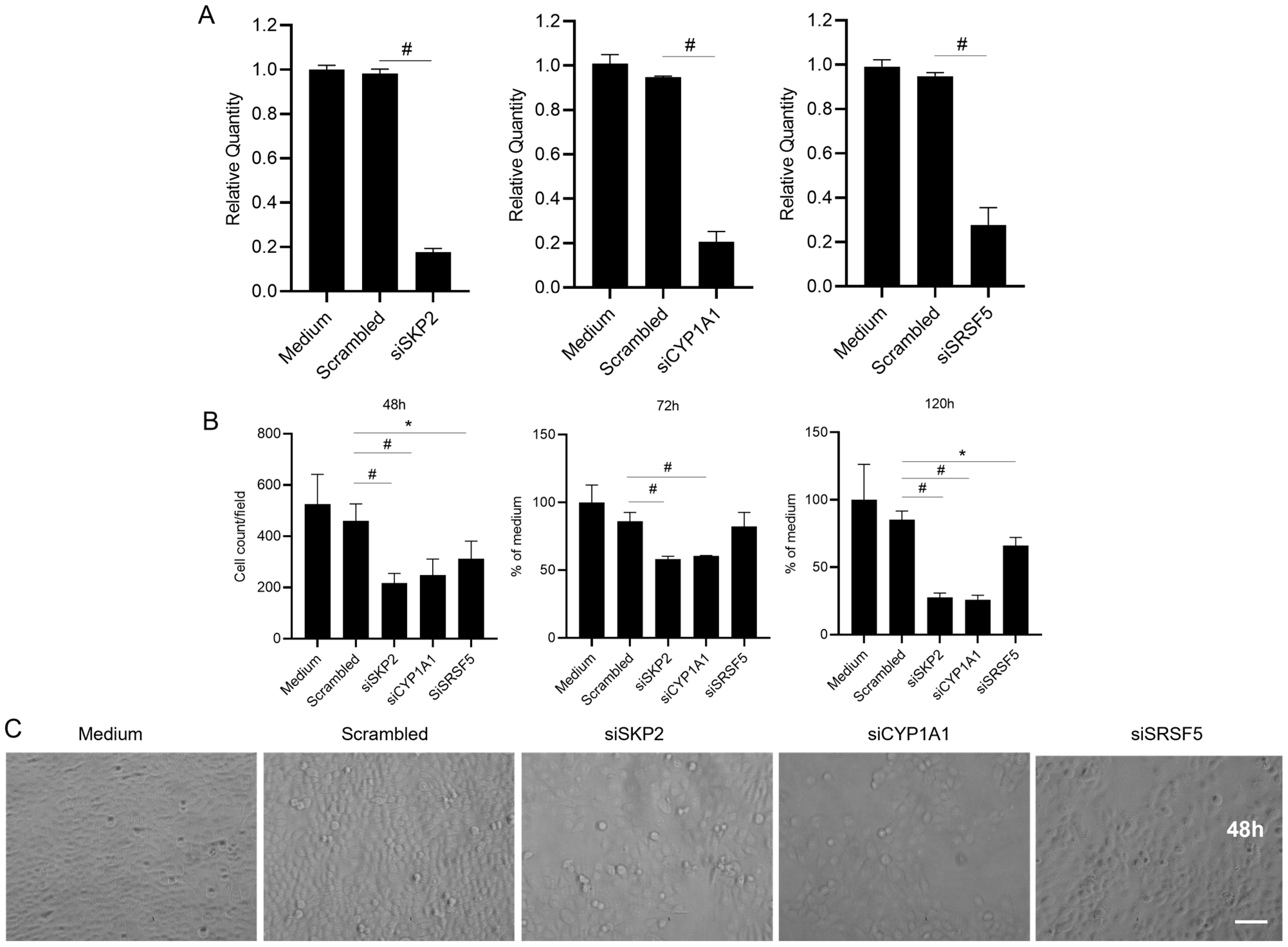Molecules 28 07020 g008 Molecules 28 07020 g008