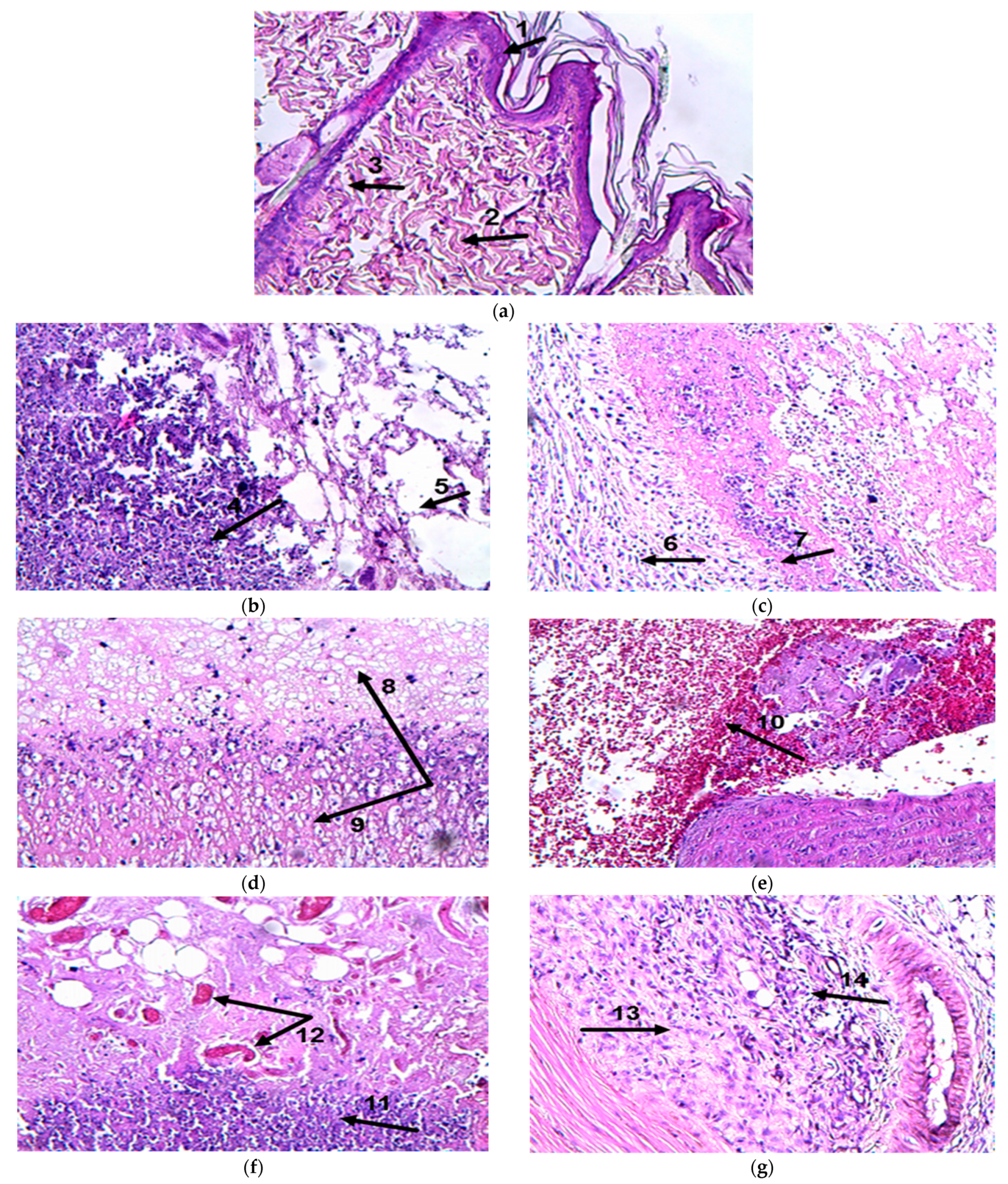 Molecules 28 07023 g002