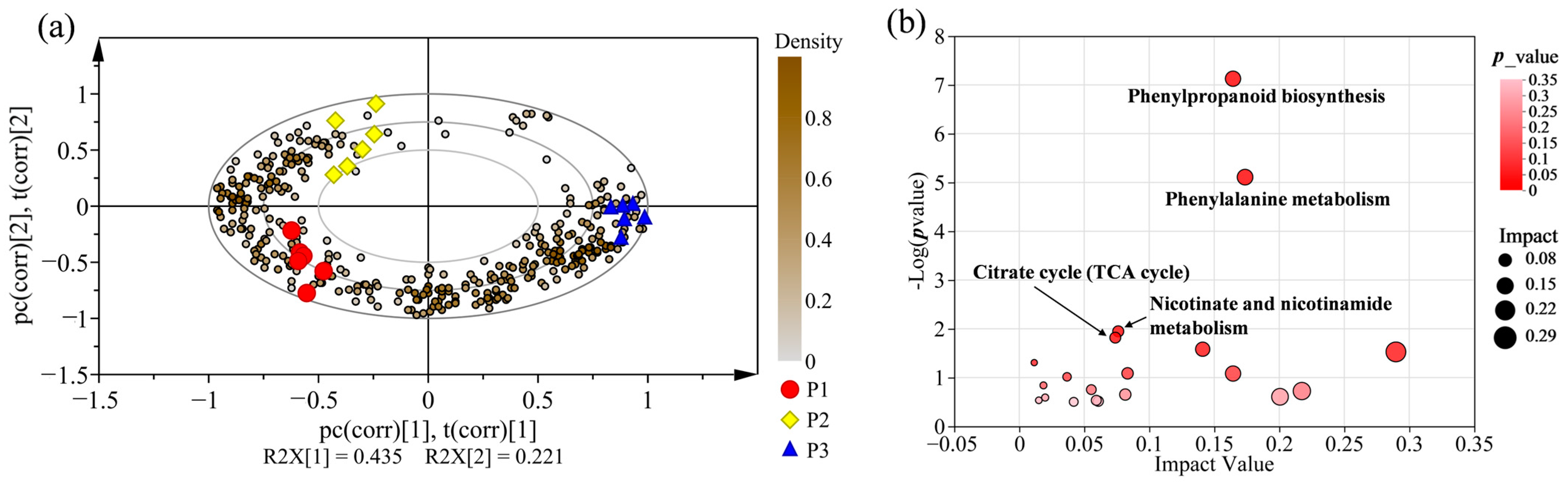 Molecules 28 07024 g009