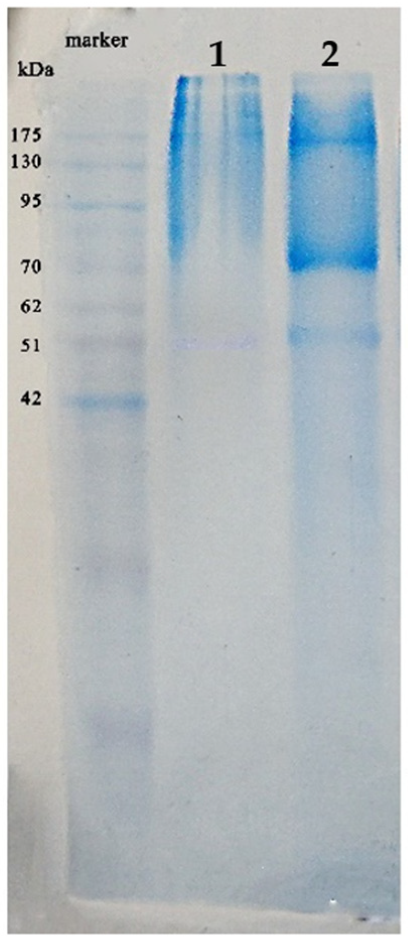 Molecules 28 07032 g001