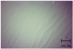 Molecules 28 07035 i001