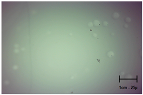 Molecules 28 07035 i002