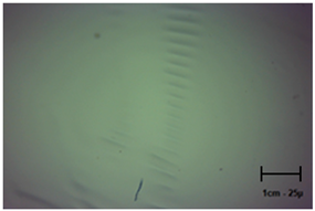 Molecules 28 07035 i003