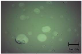 Molecules 28 07035 i004