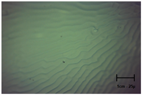 Molecules 28 07035 i005