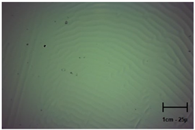 Molecules 28 07035 i006