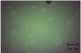 Molecules 28 07035 i008