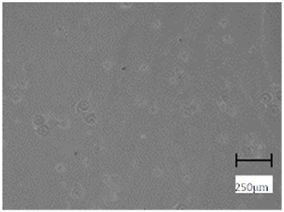 Molecules 28 07035 i010